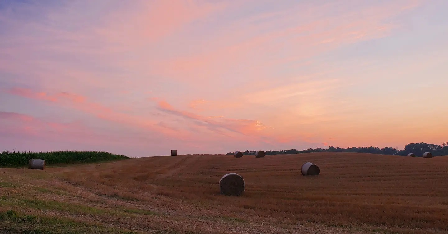 Little White Farmhouse