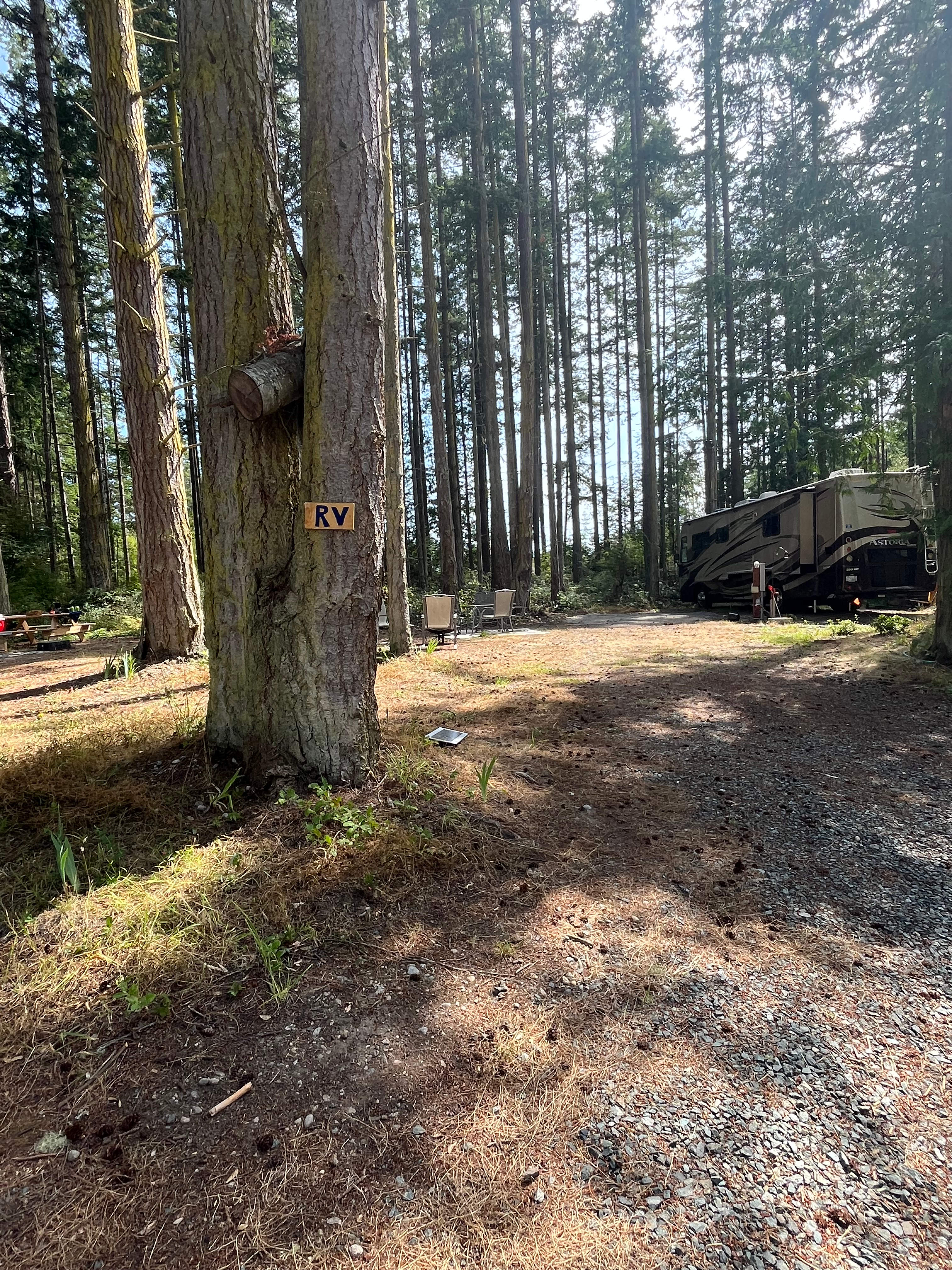 Monkey Hill @Deception Pass Retreat