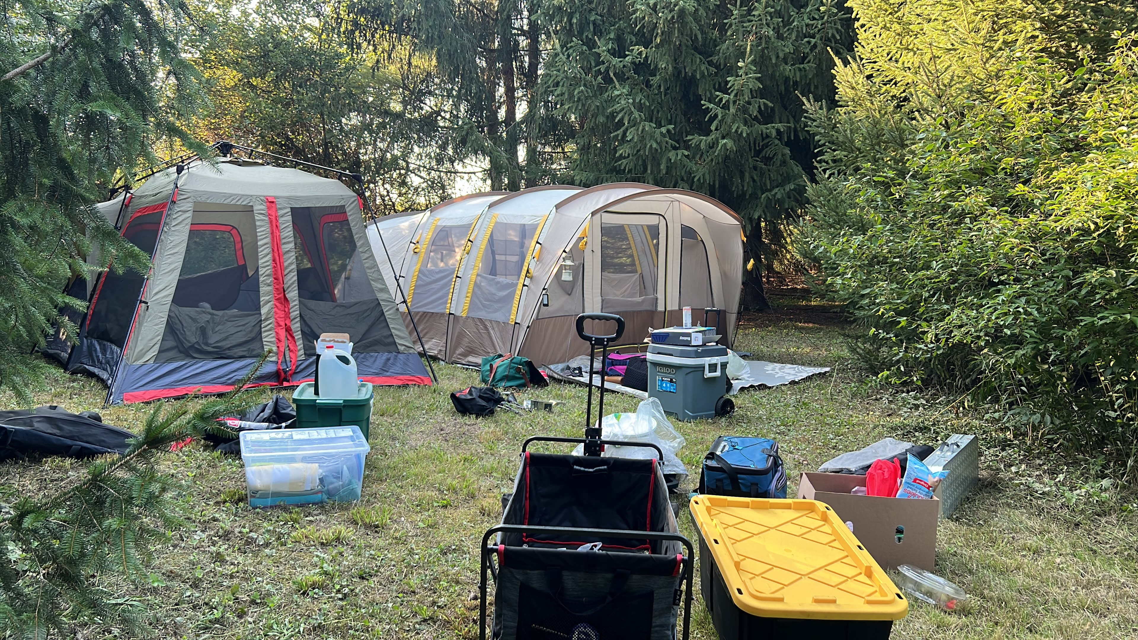 Found a nice flat area for 2 large tents. There are other areas for smaller tents. Would recommend placing a tarp under your tent for the sharp twigs and things. 
