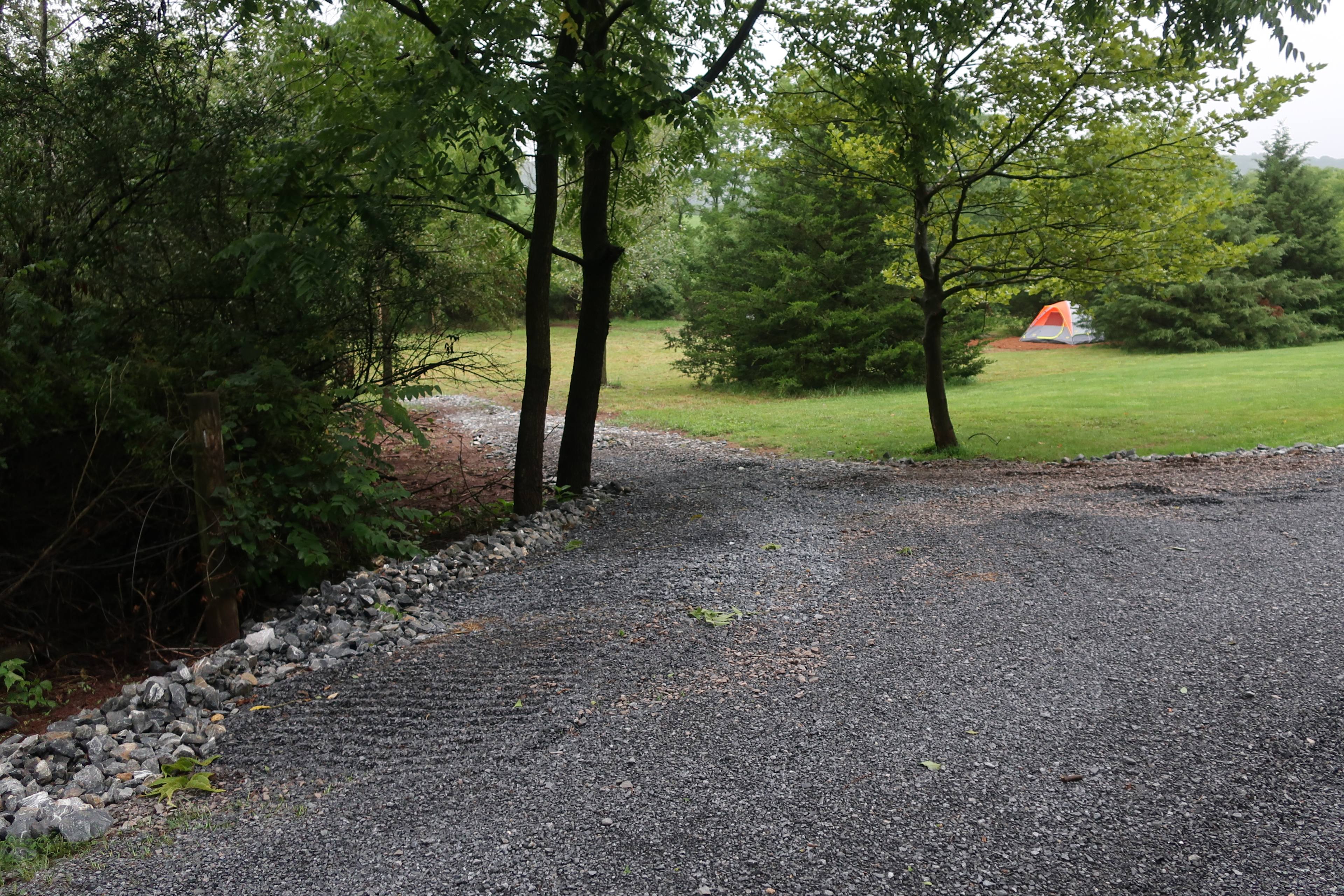Meadow Lane Camp