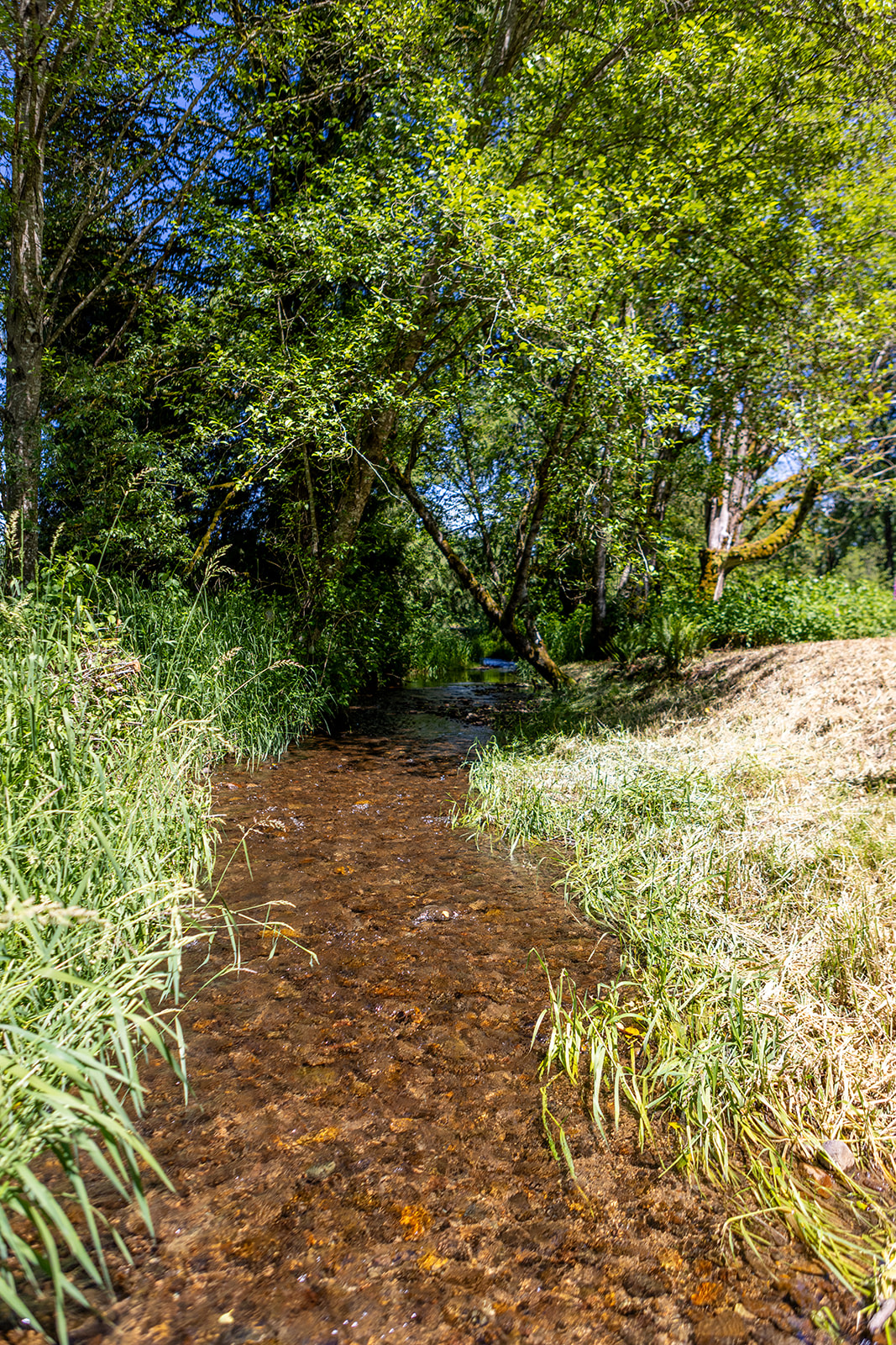 Kearney Creek Retreat