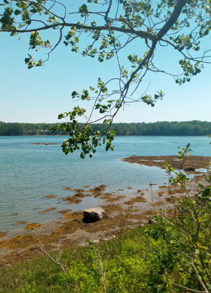 Jases Cove Way PVT