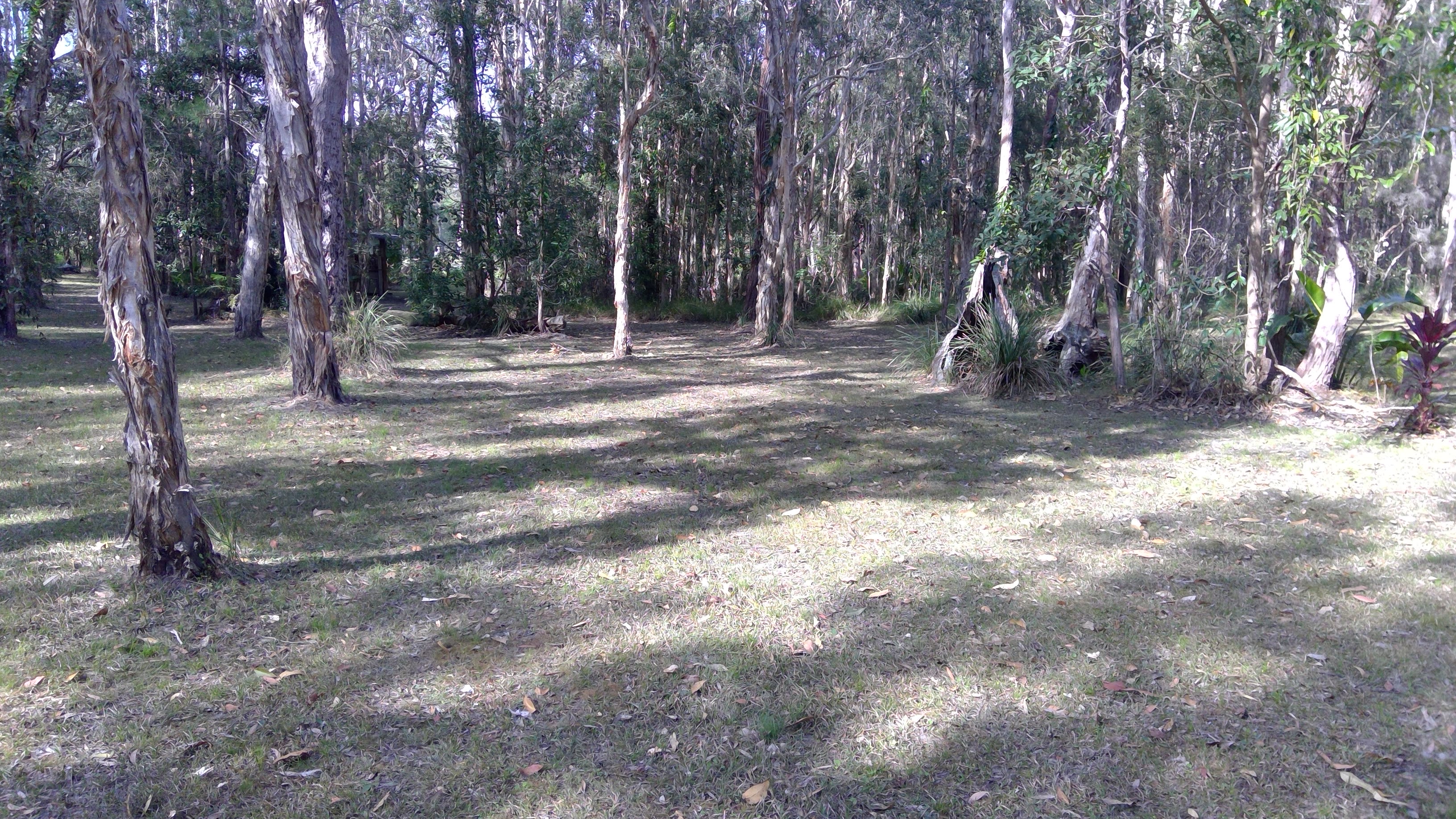 Noosa  Hinterland RV and Hip Camp