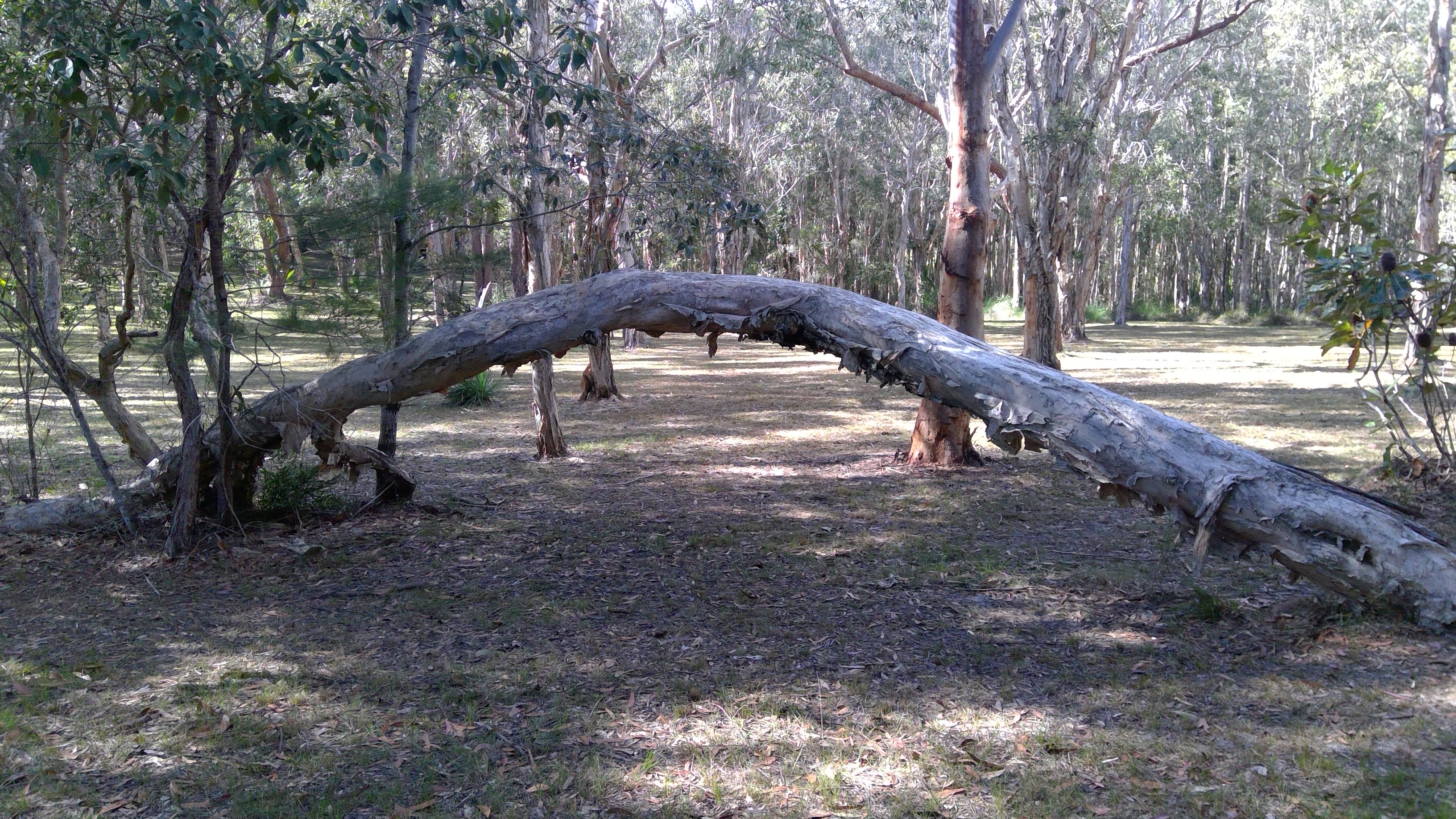 Noosa  Hinterland RV and Hip Camp