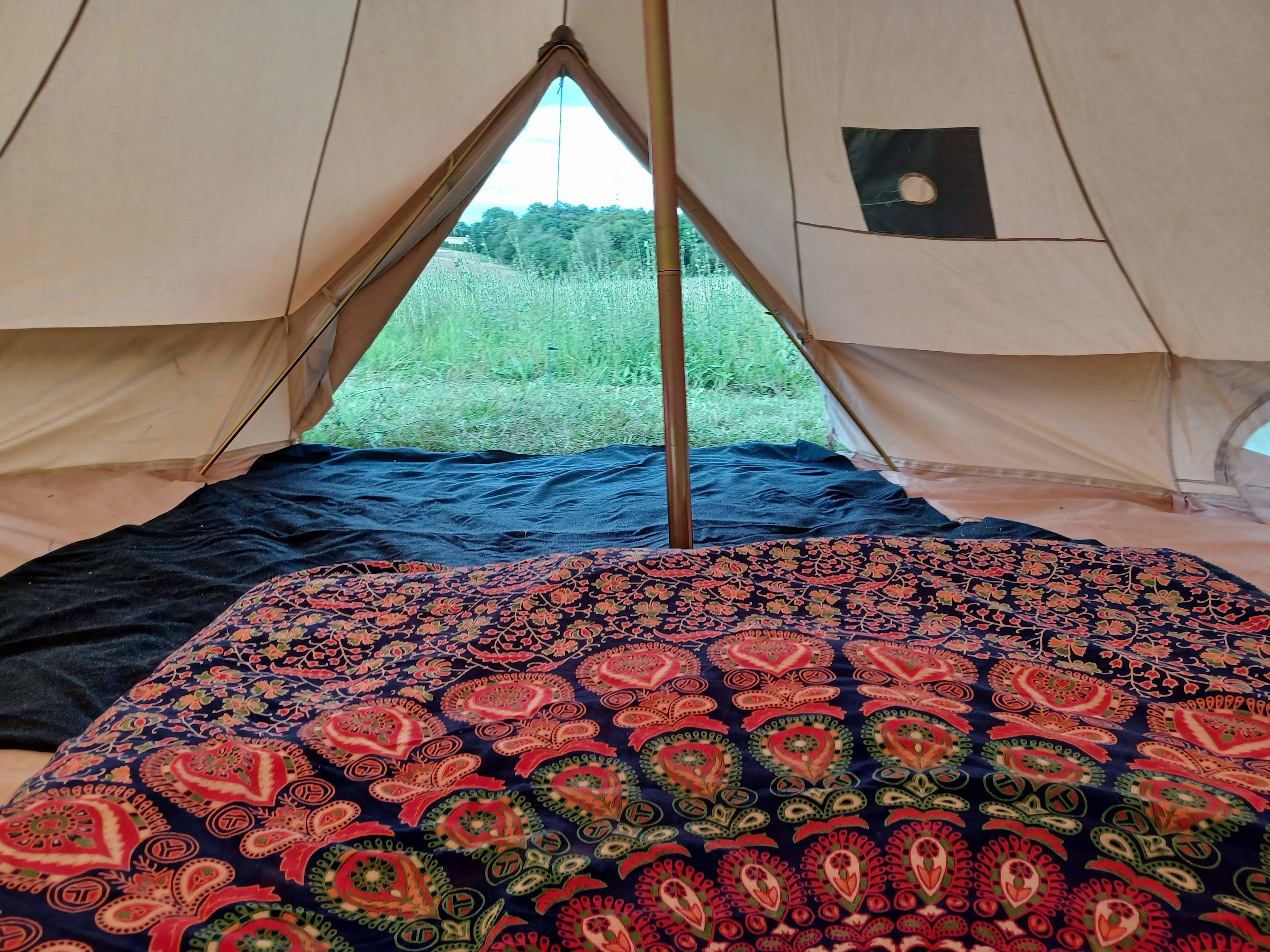 Secluded Woodland Camp