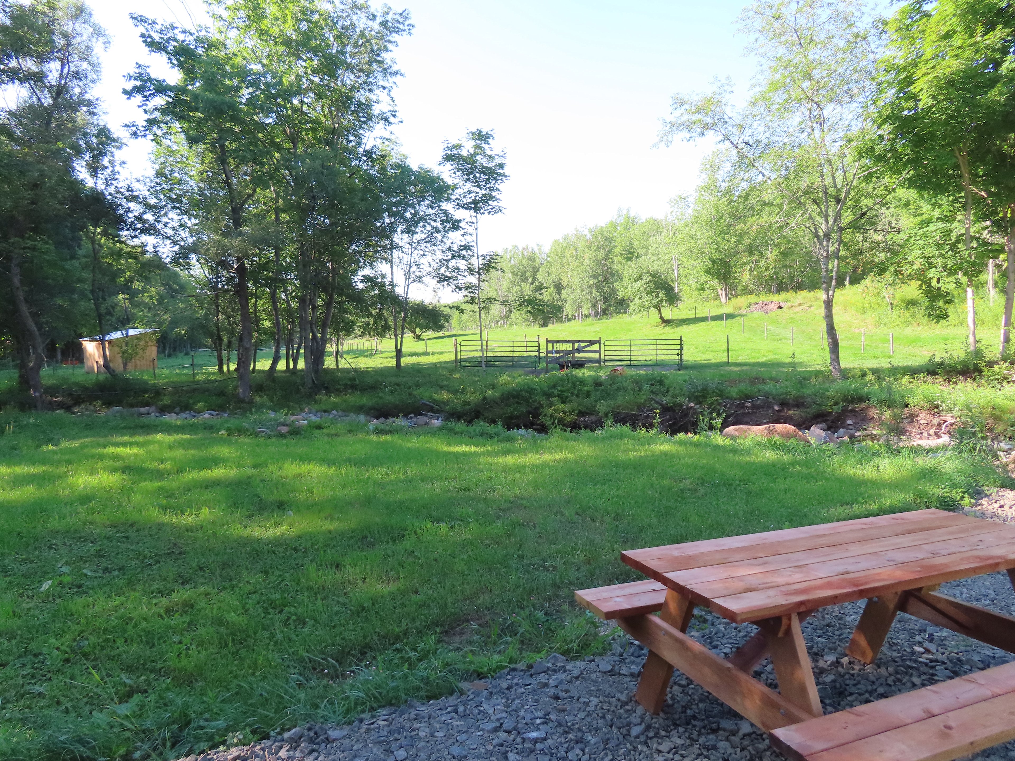 View from the RV site: the babbling brook, and horse pastures. 