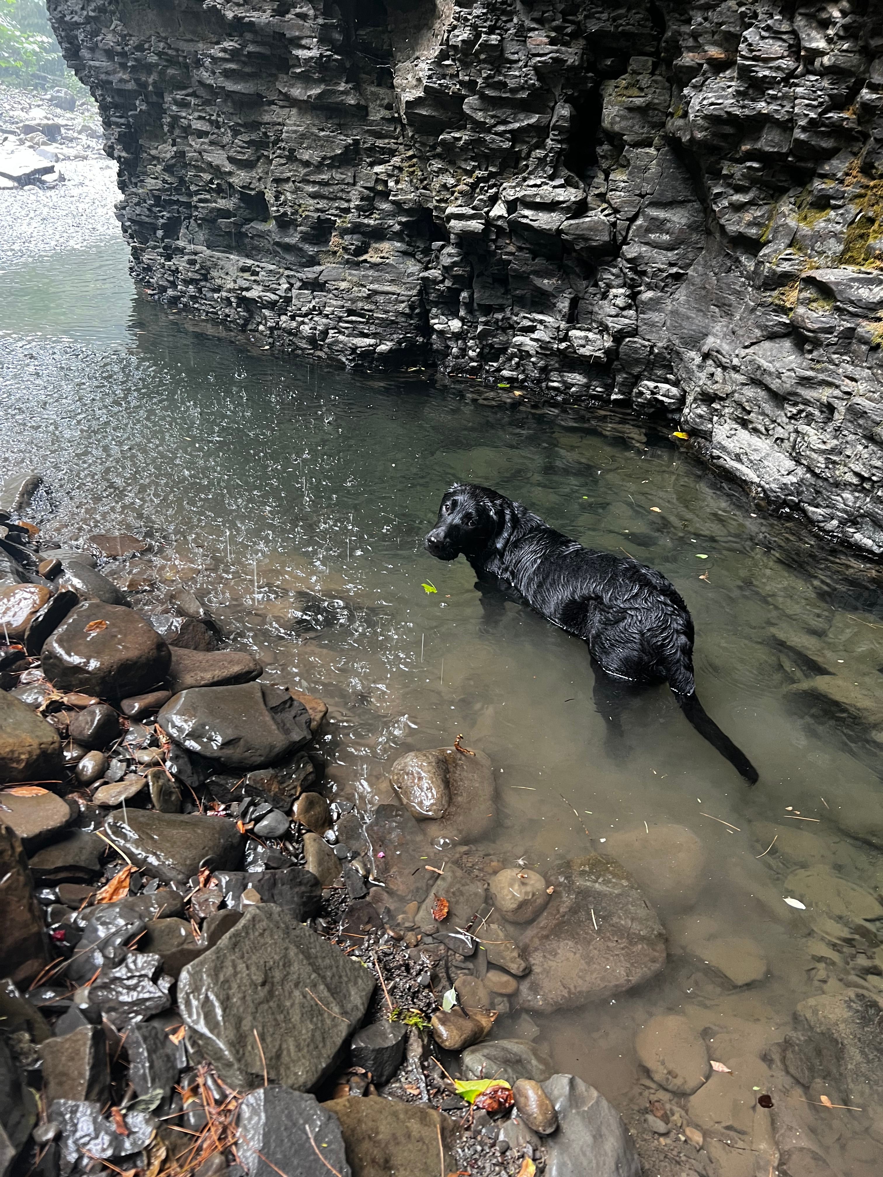 Waterfall Sanctuary & Quiet Retreat