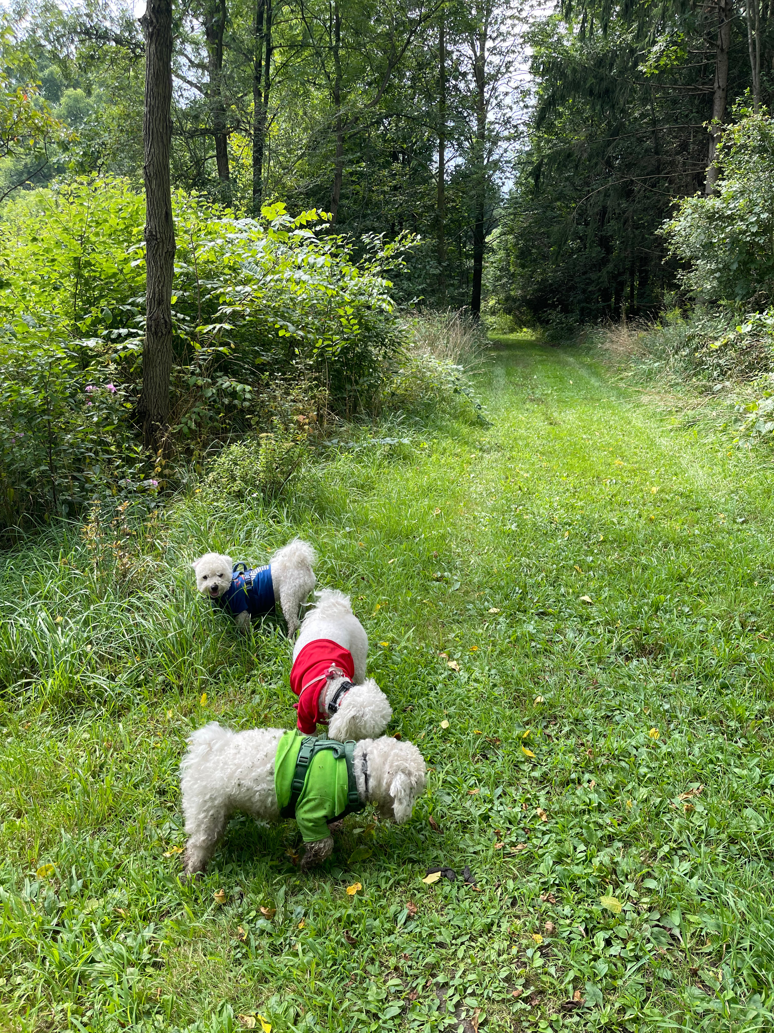 Braemar Valley Nature Sanctuary