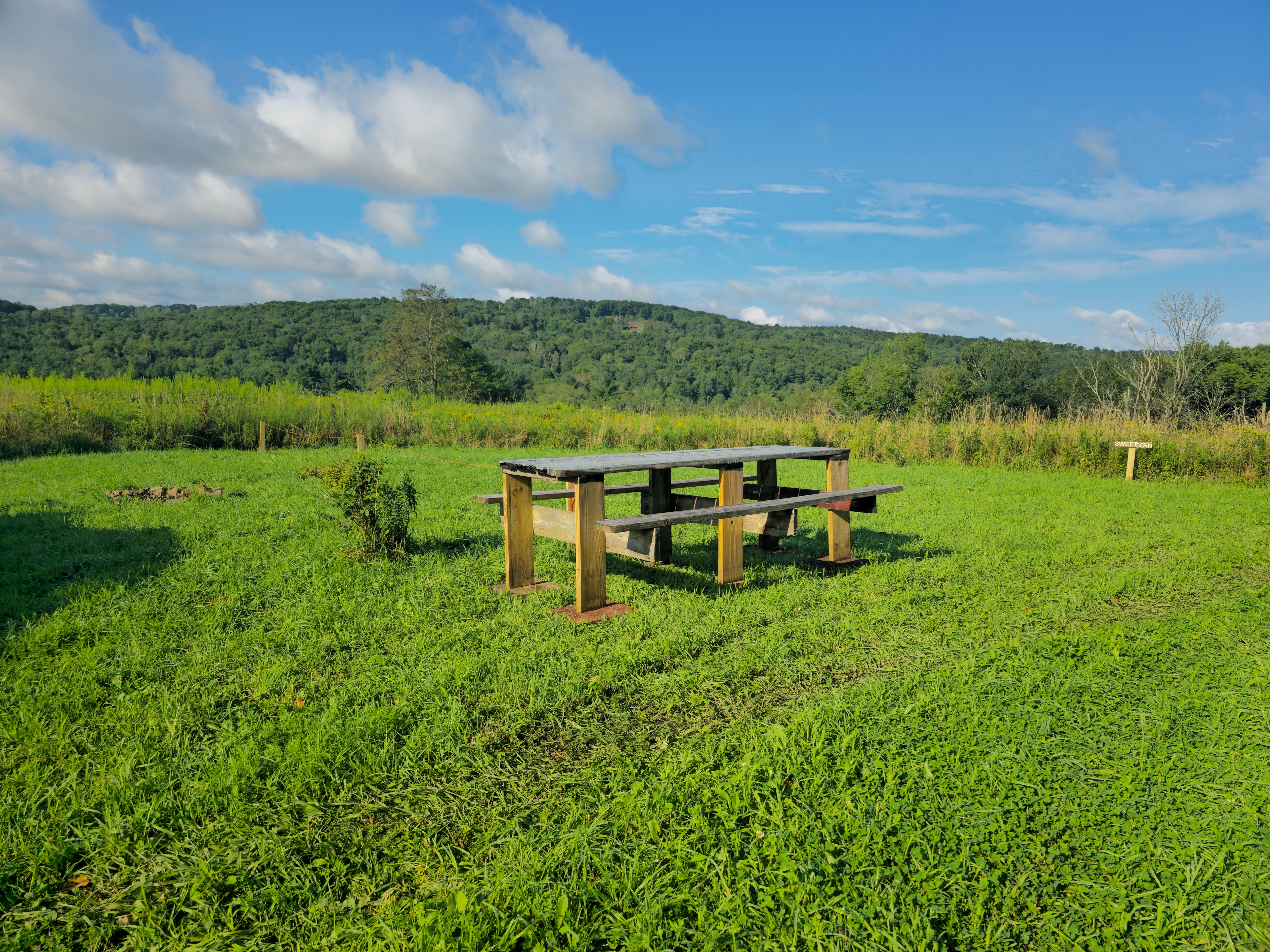 Swan Lake Bare Camping