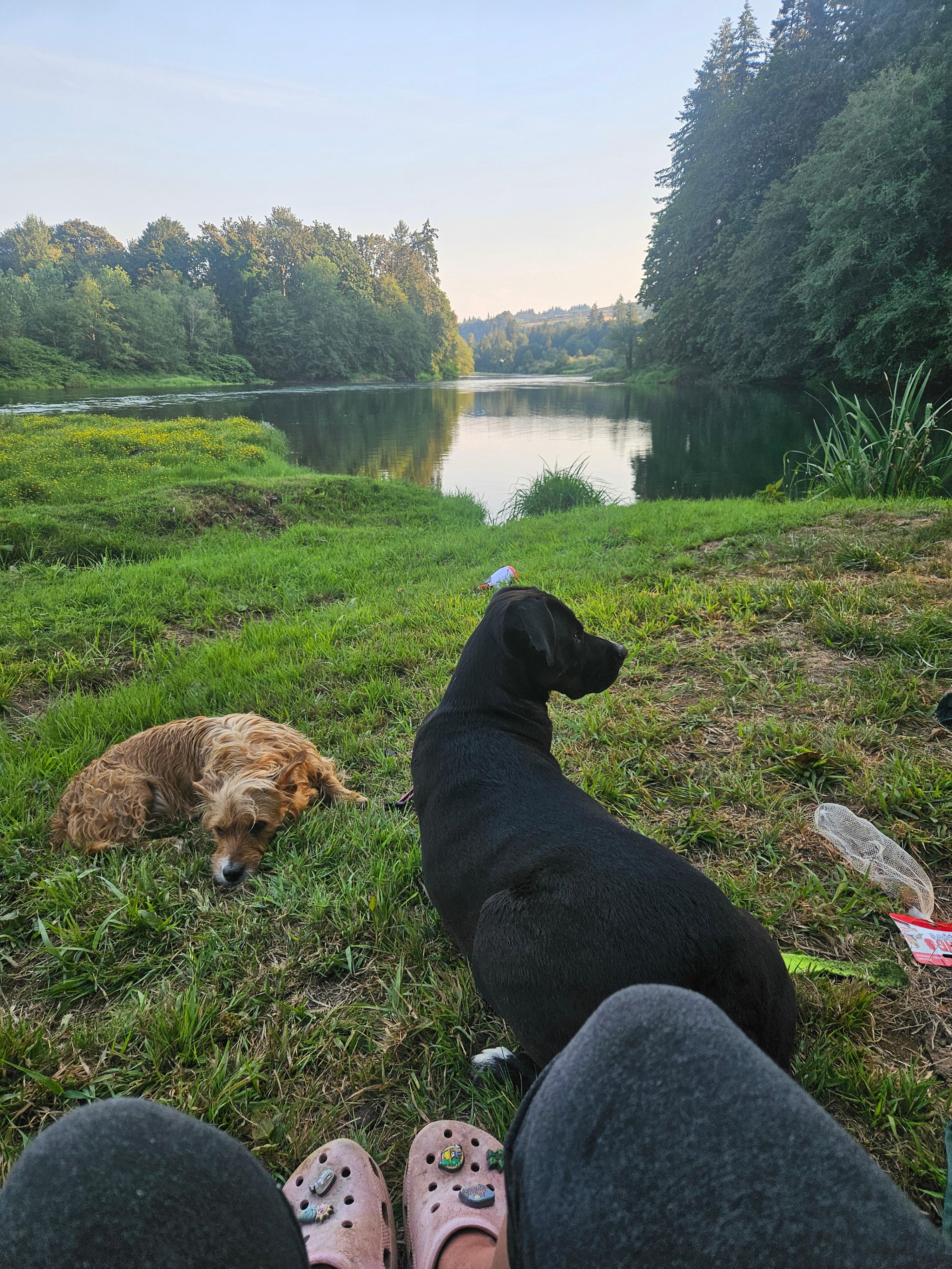 Cowlitz River Camping