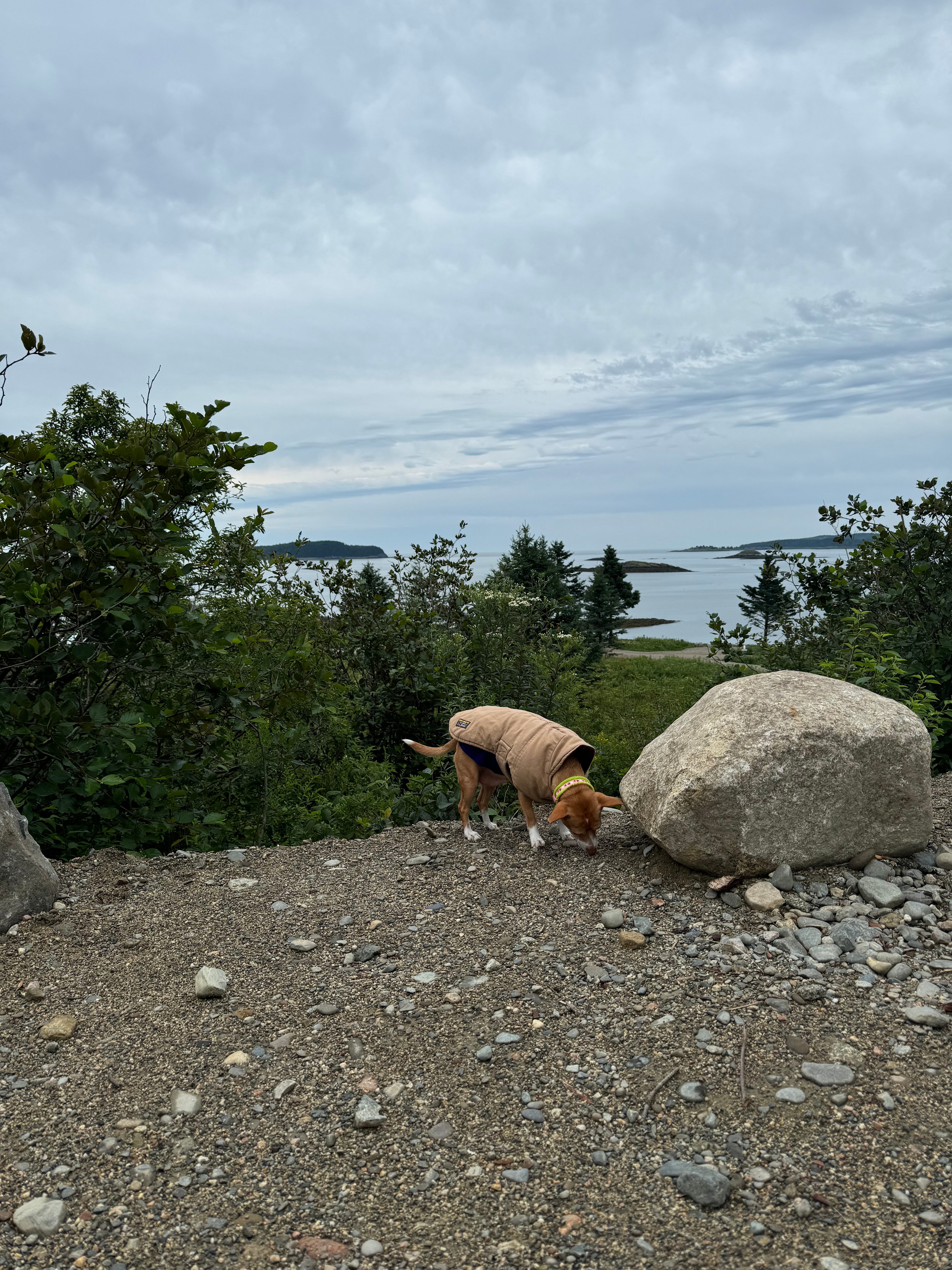 Searenity Beachfront Land Off Grid