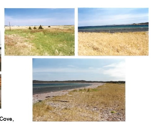 Frenchman’s Cove Coastal Getaway