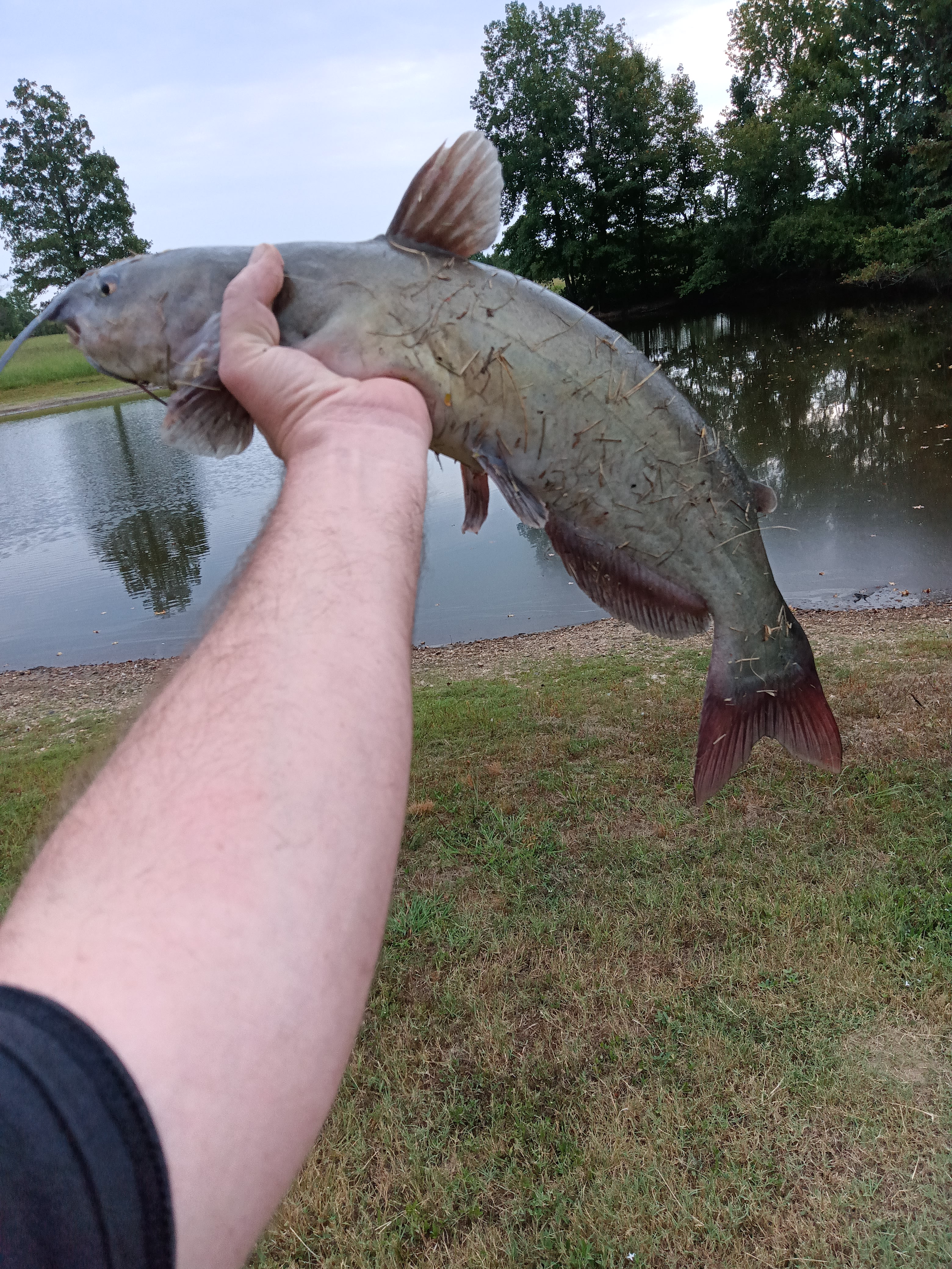 Jubilee Farms Campground & Rentals