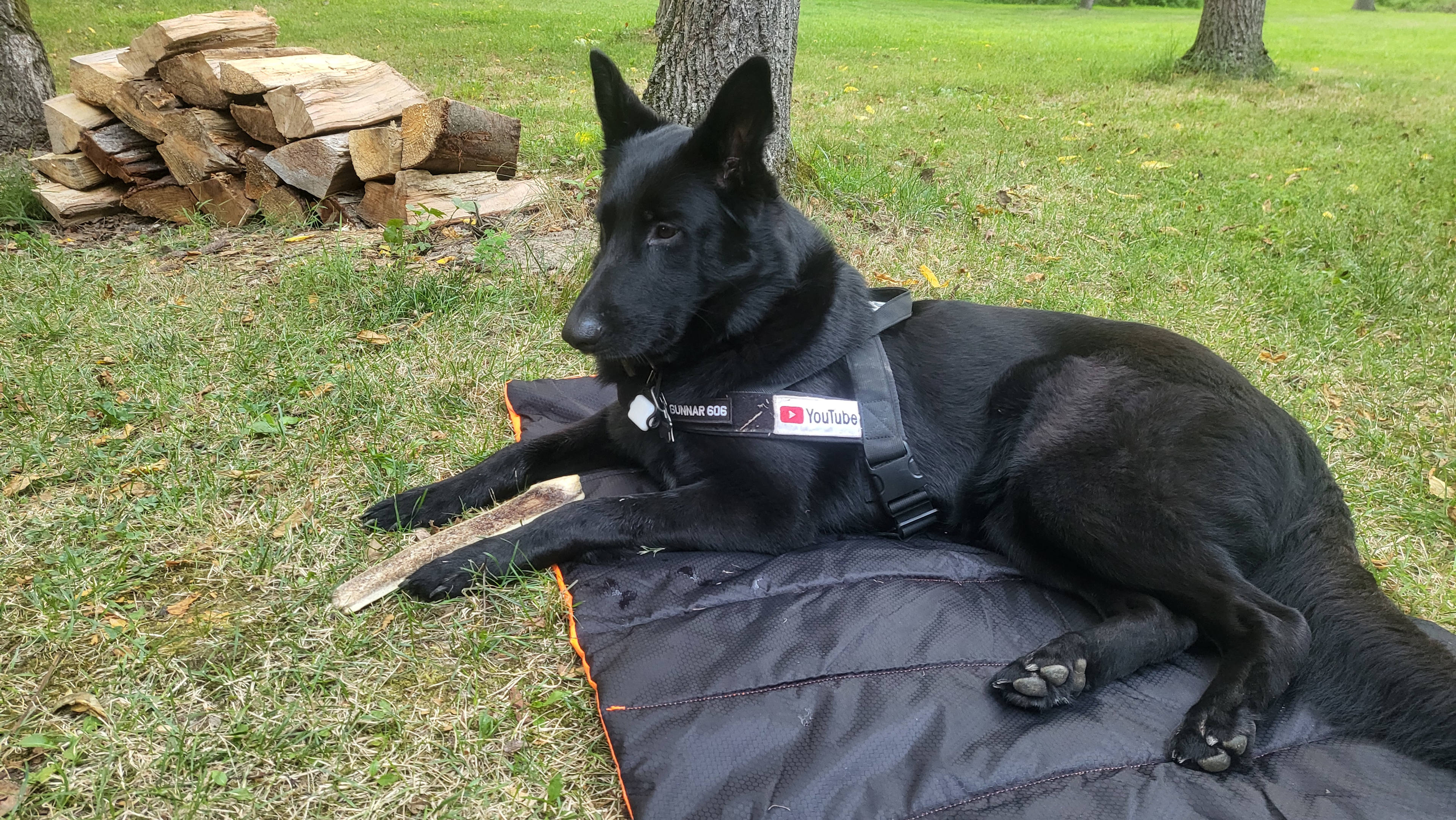 Meadowbrook Country Farm