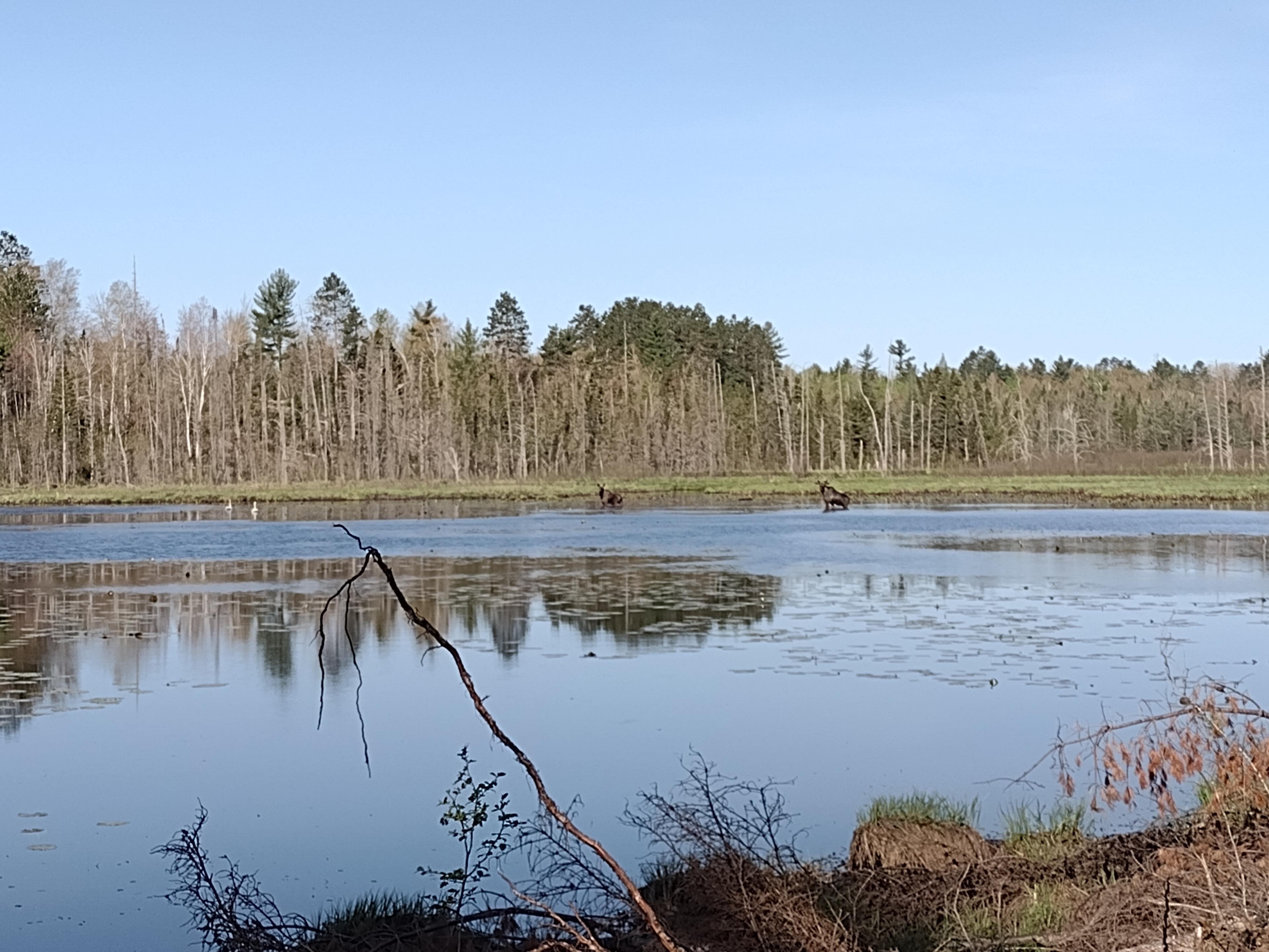 Bells Acres Campground and Rec Area