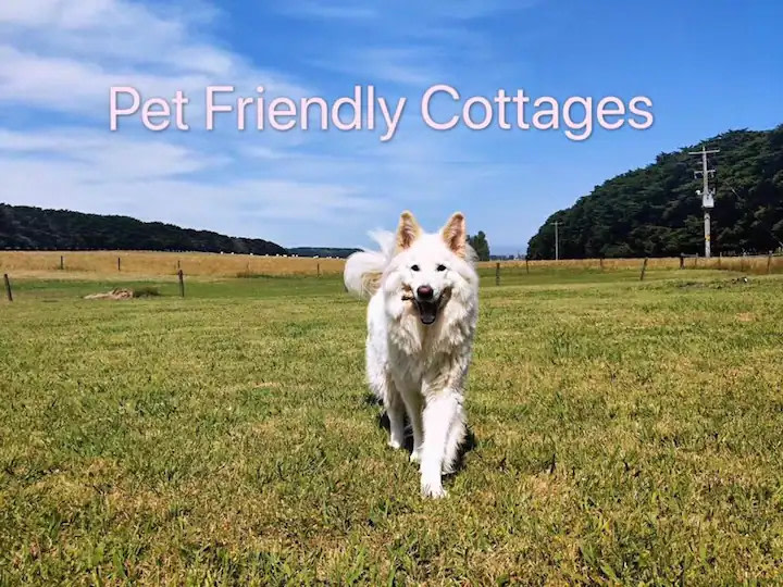 Twelve Apostles Motel & Country Retreat