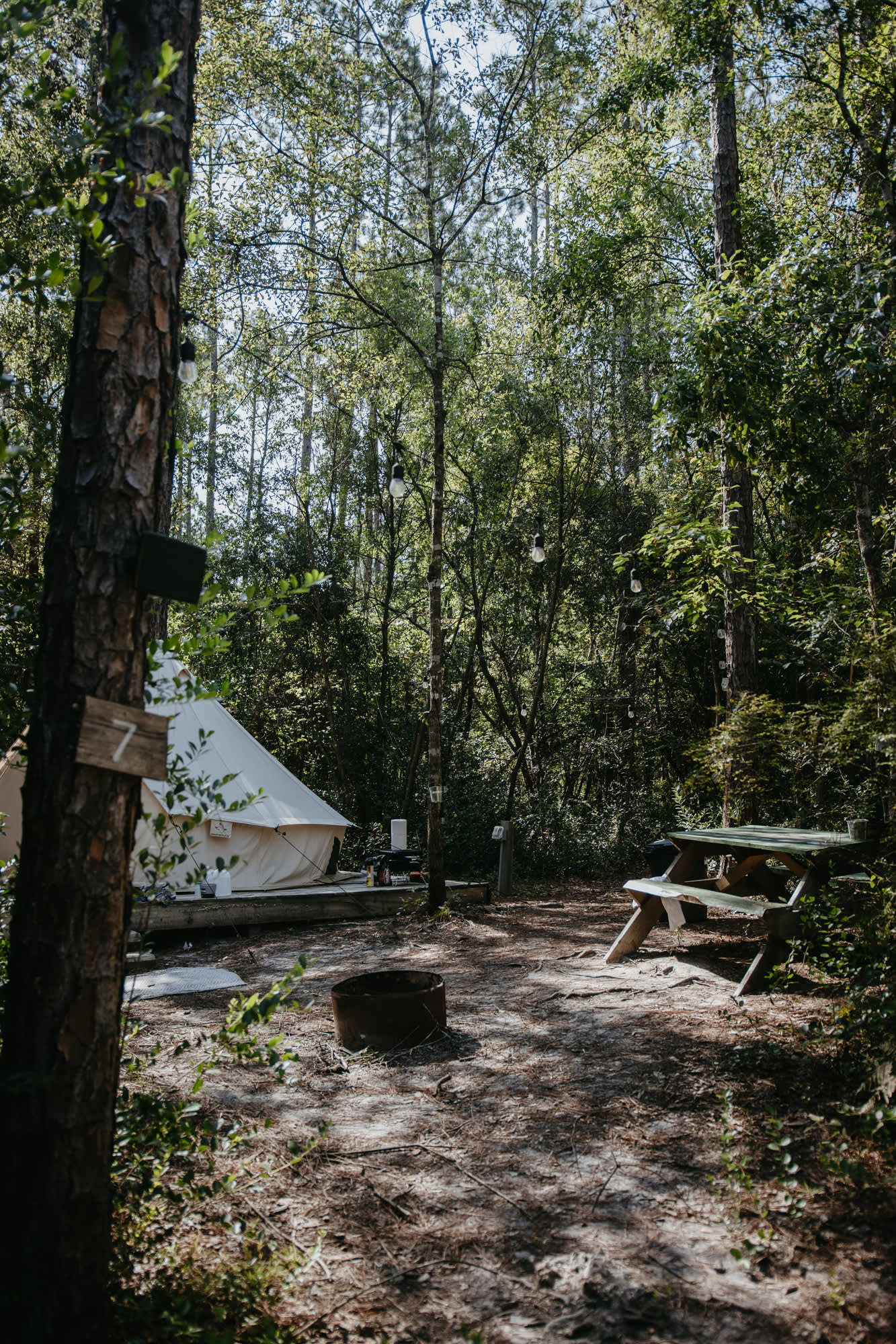 Site #7 is a little more secluded and close to the trail.