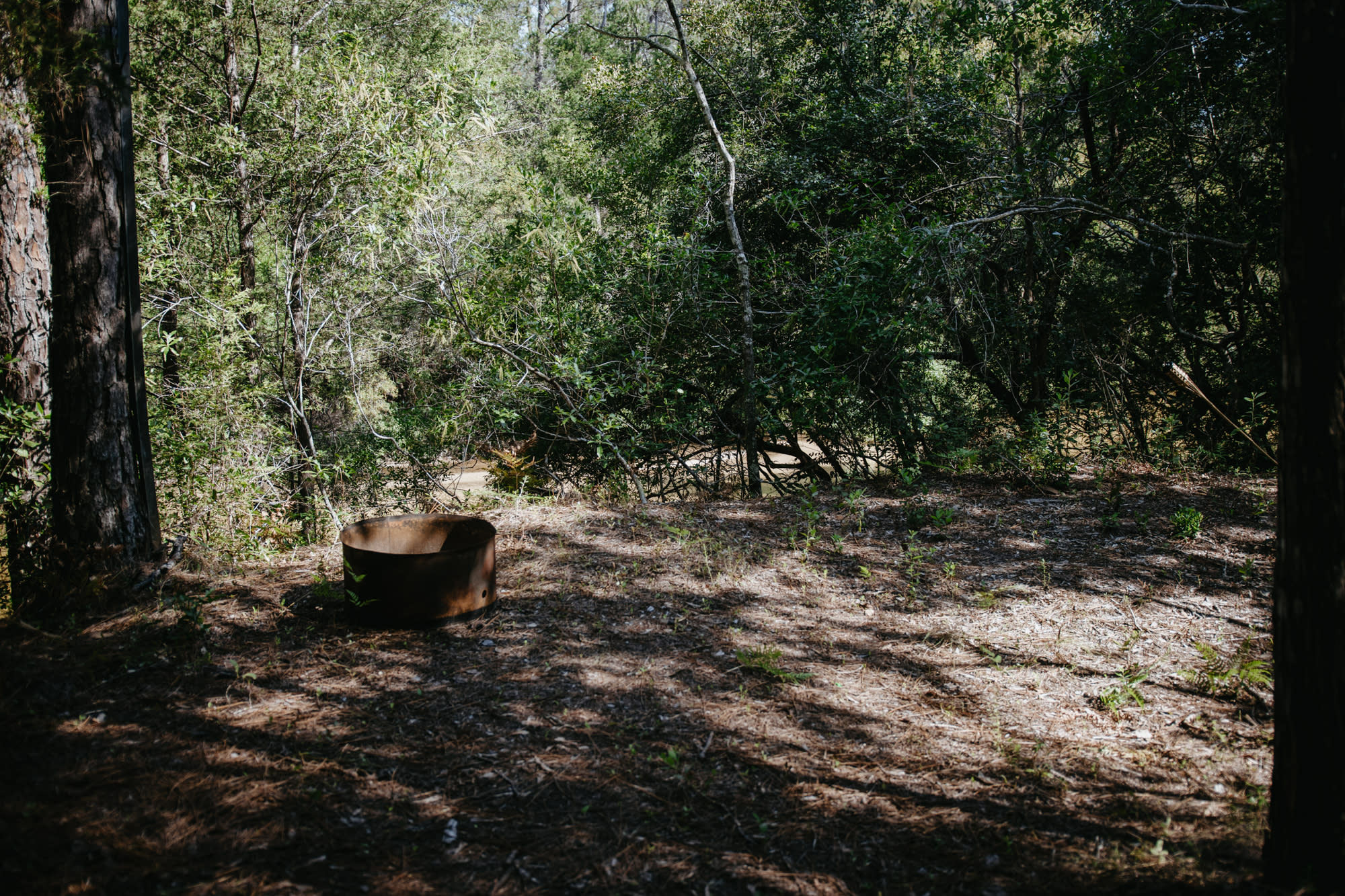 Site #8 is surrounded by vegetation, but you can still get a (slightly obstructed) view of the river.