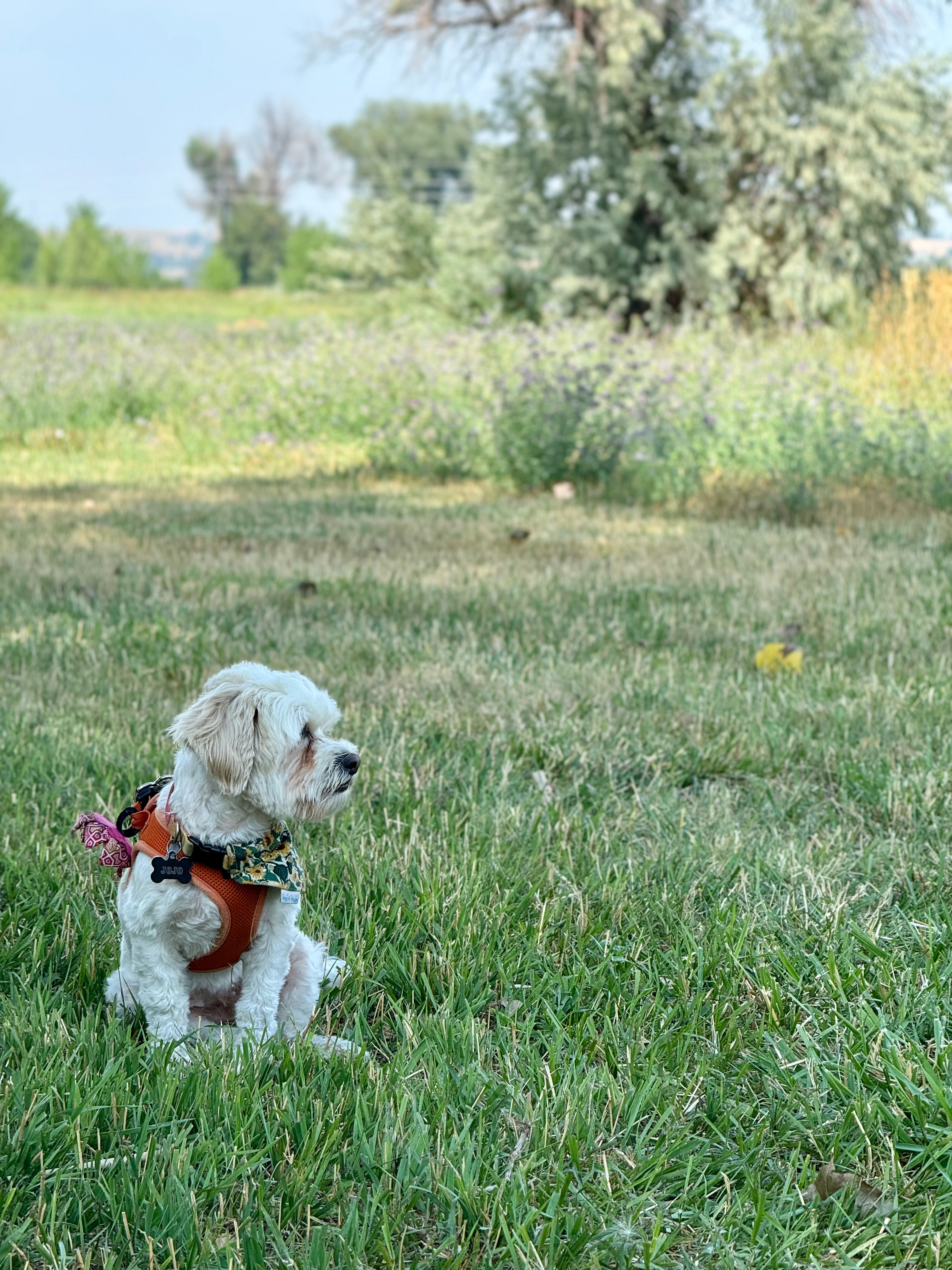 Montgomery Homestead