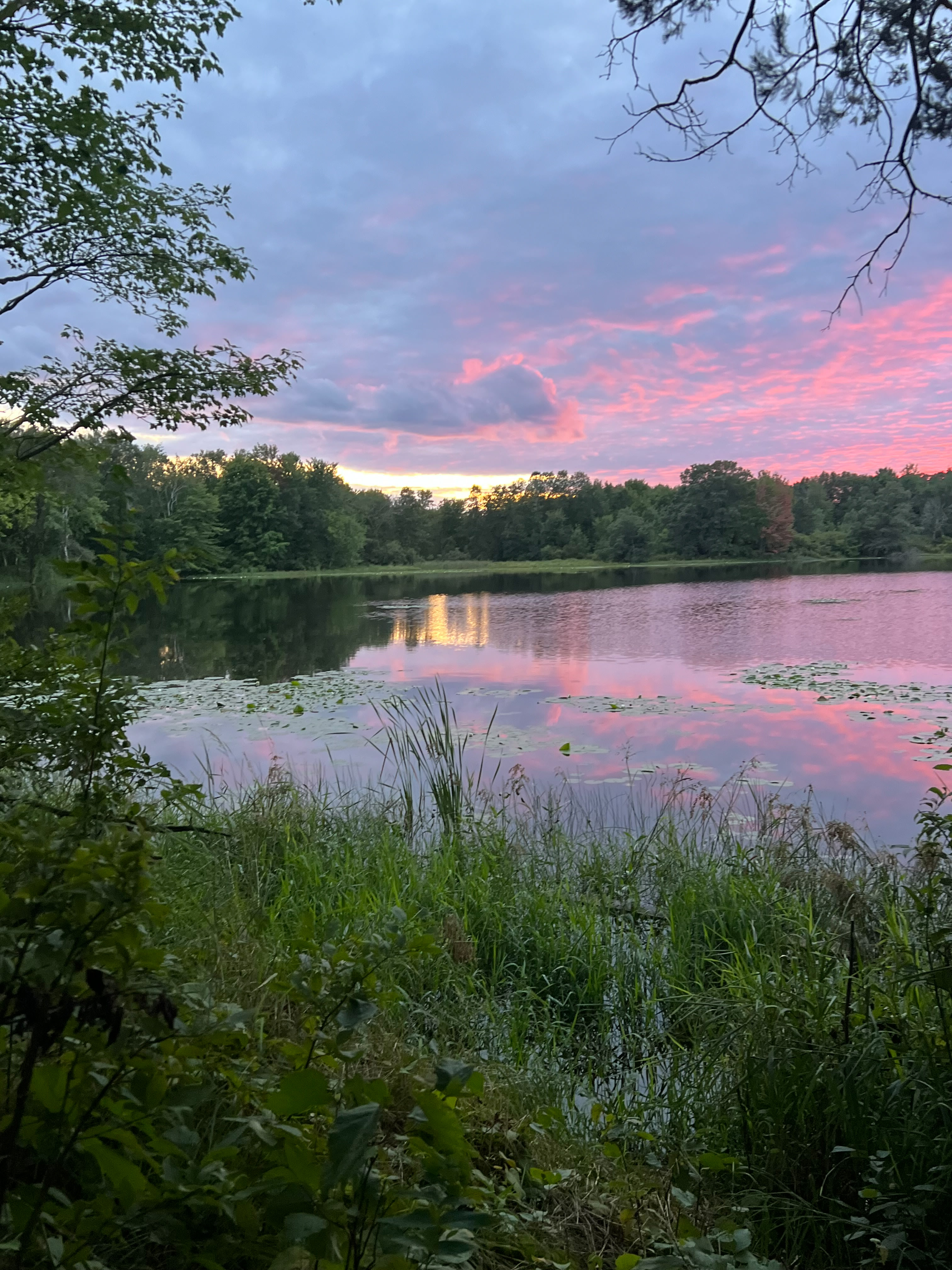 Stewartville