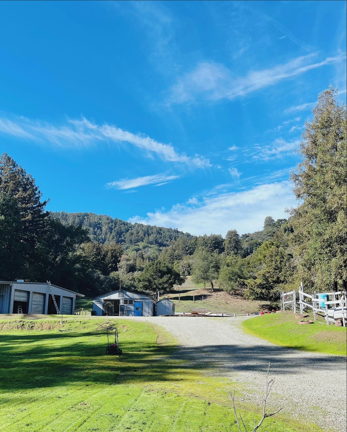 Misthaven Ranch Nature Retreat