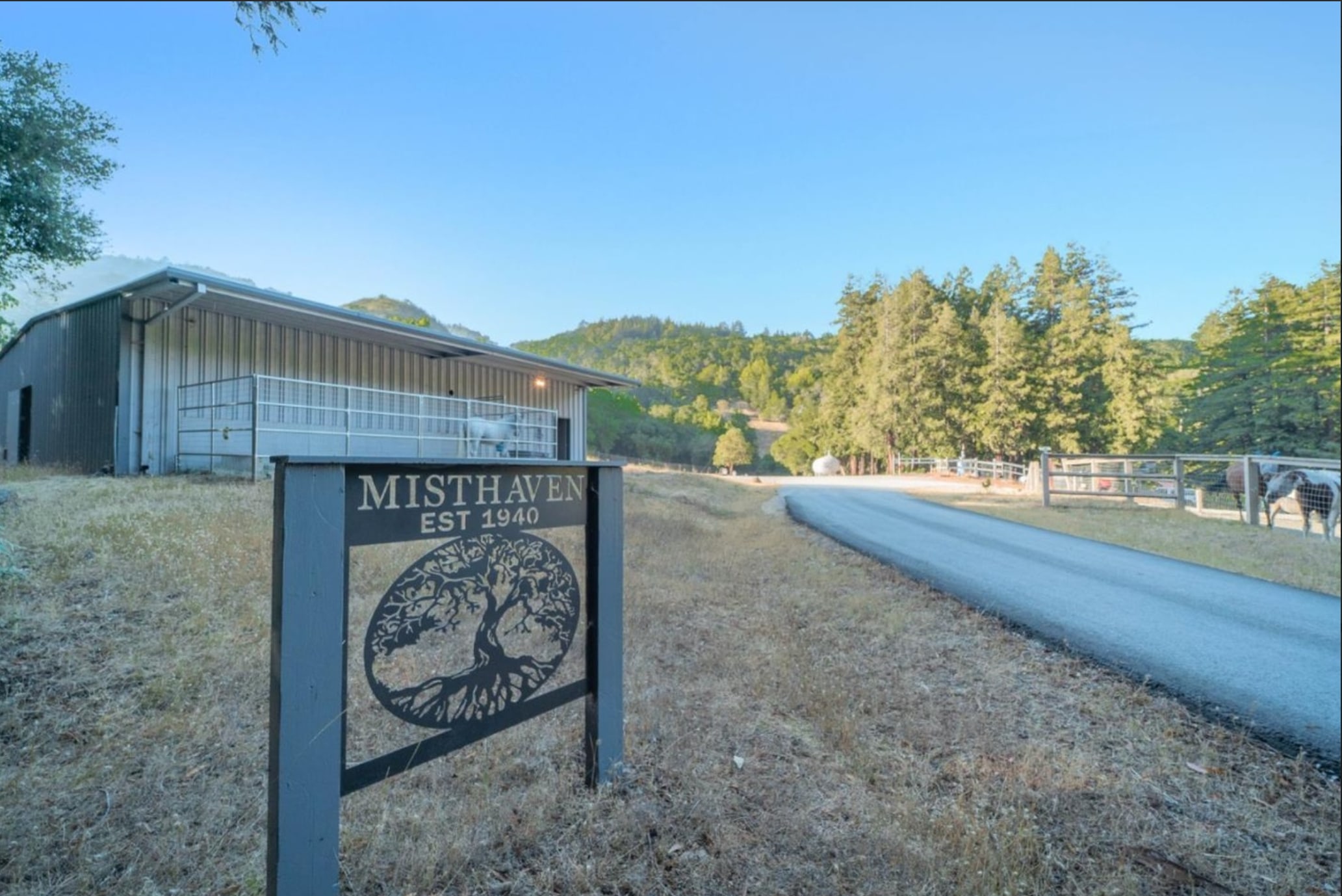 Misthaven Ranch Nature Retreat