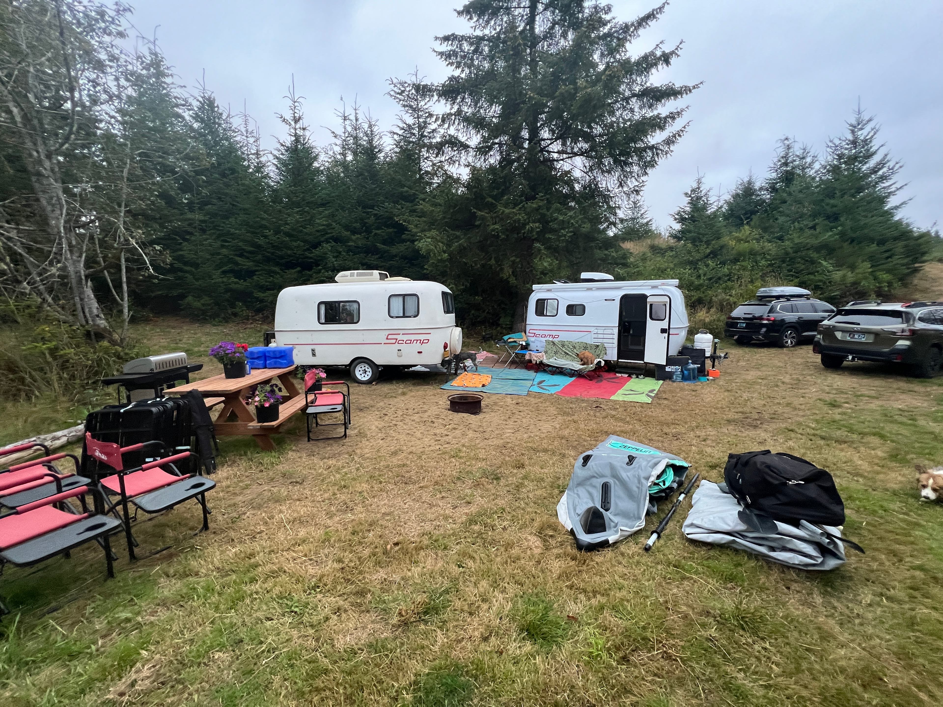 Siltcoos Cove - salmon are in!