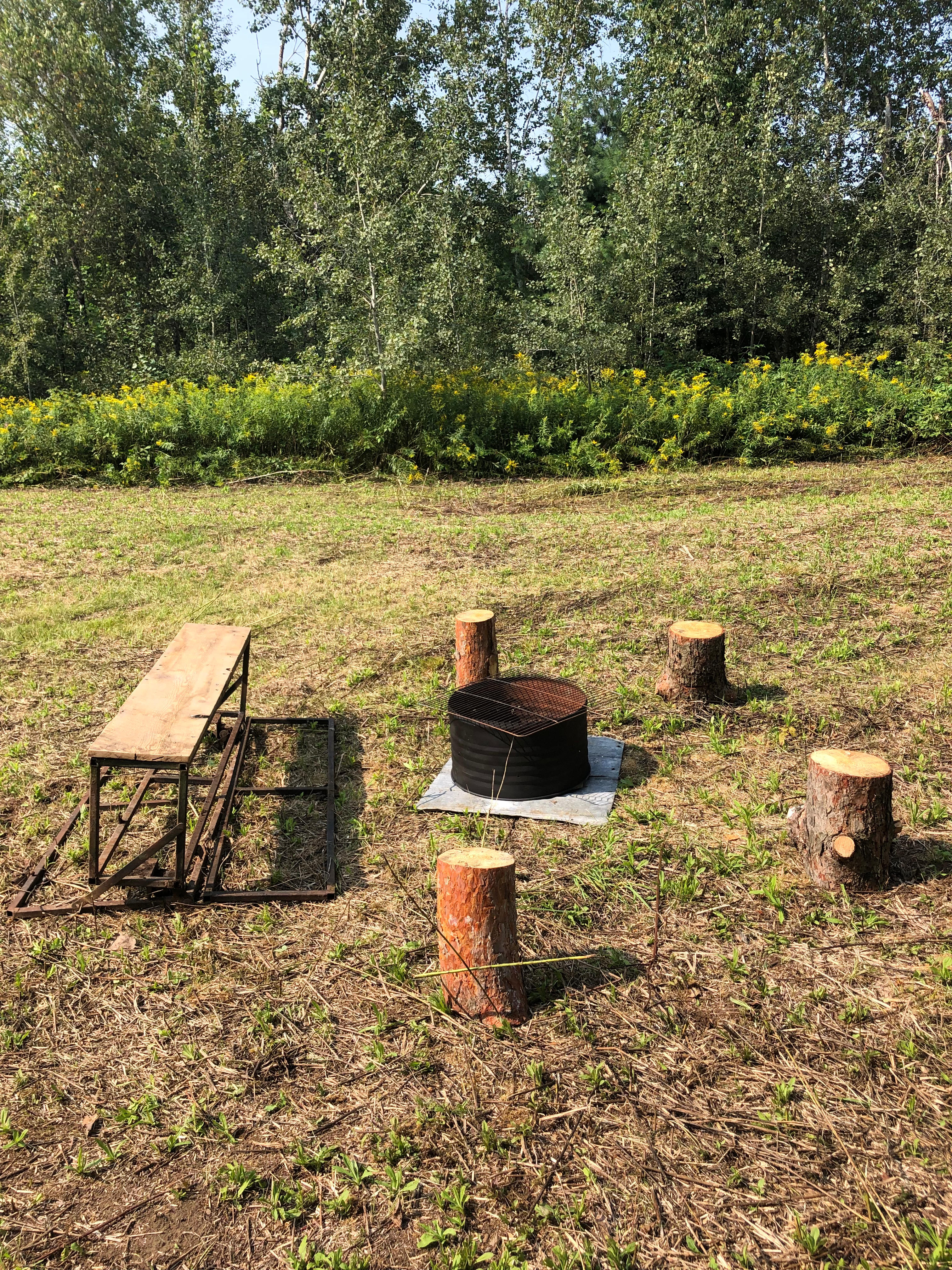 Willow's bee farm
