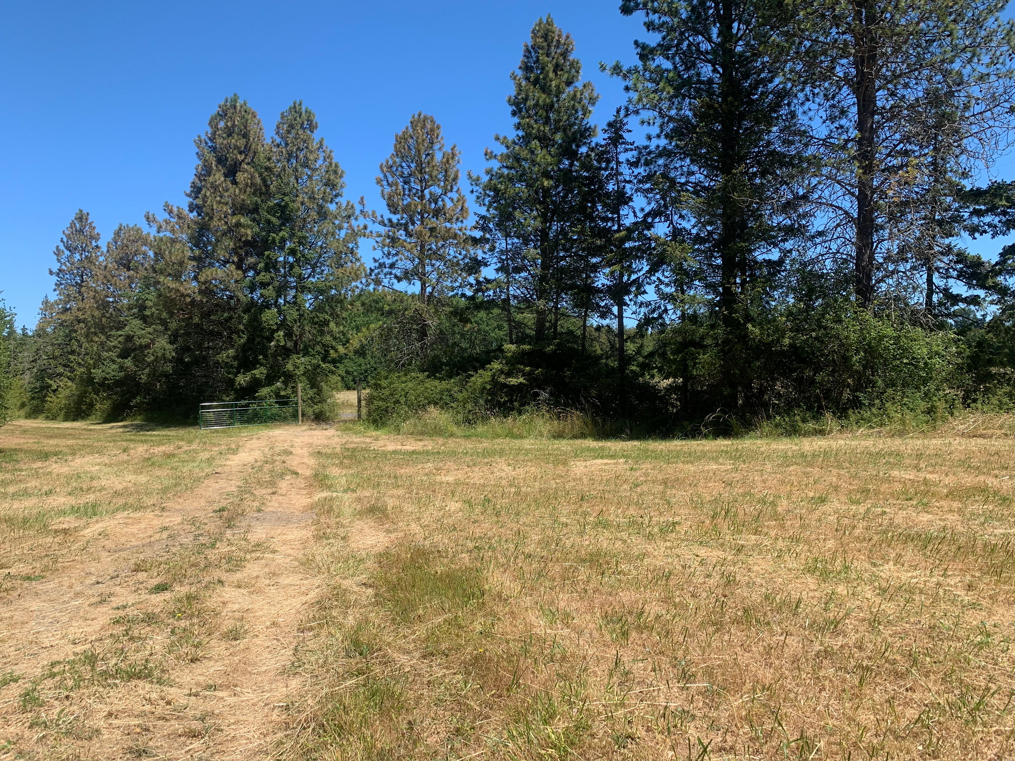 Coyote Meadow Basecamp