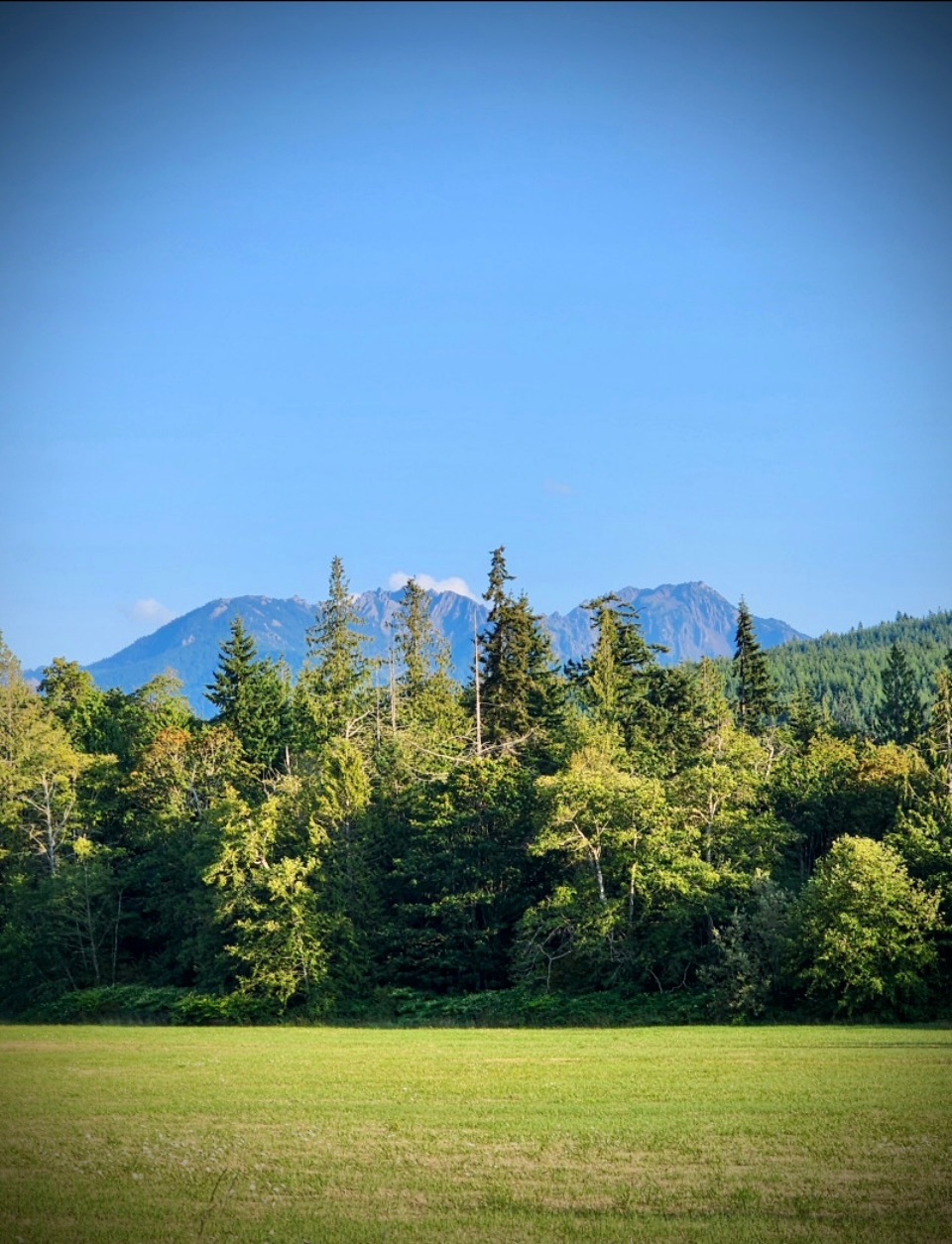 Coyote Meadow Basecamp