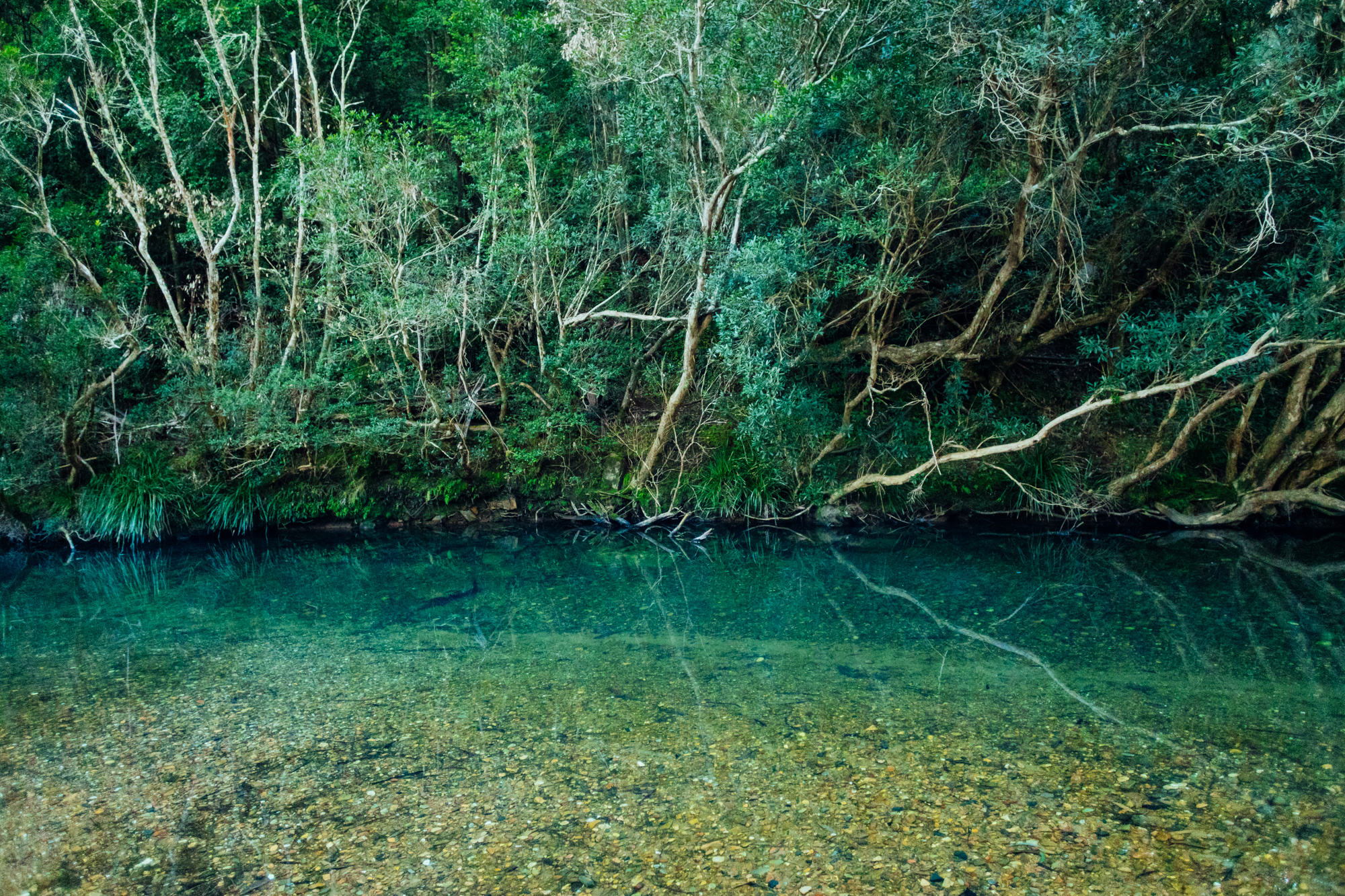 Clear water of the creek that runs through the property