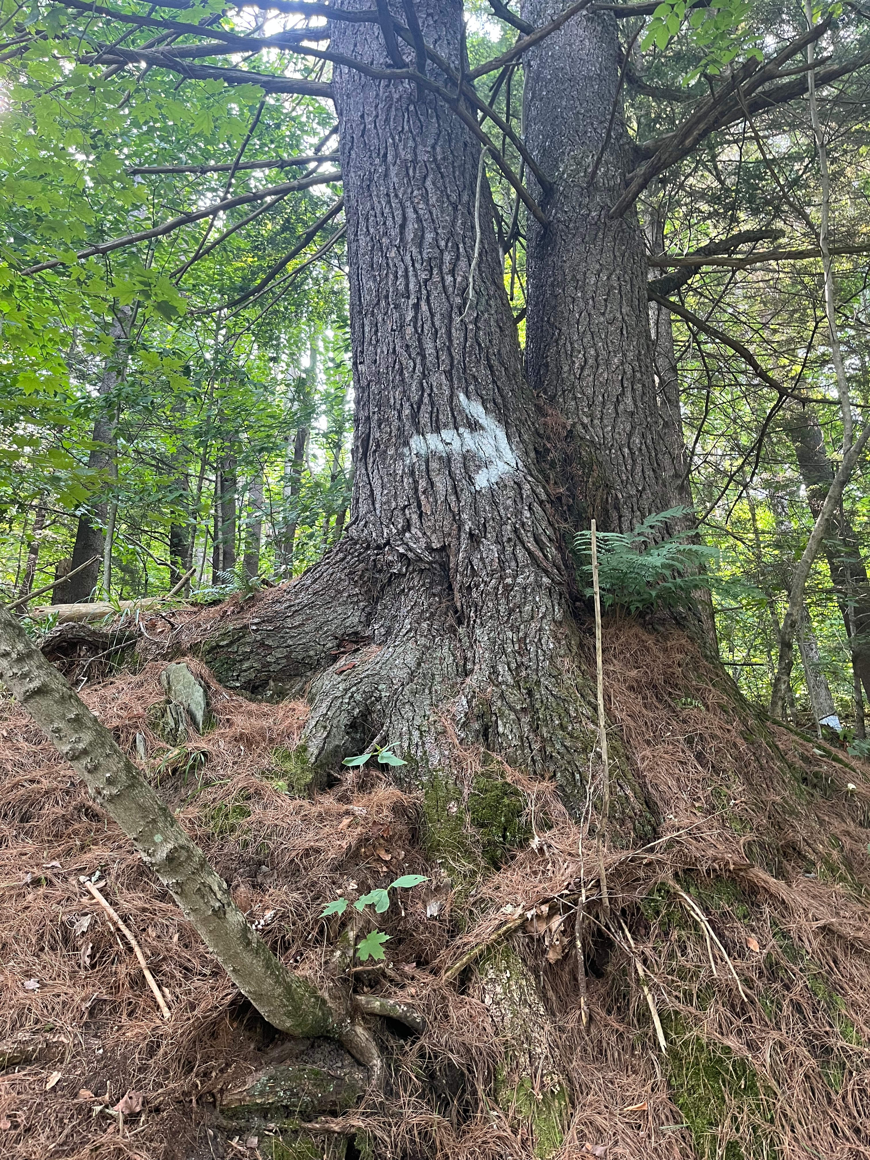 Arrows indicating direction to restroom area