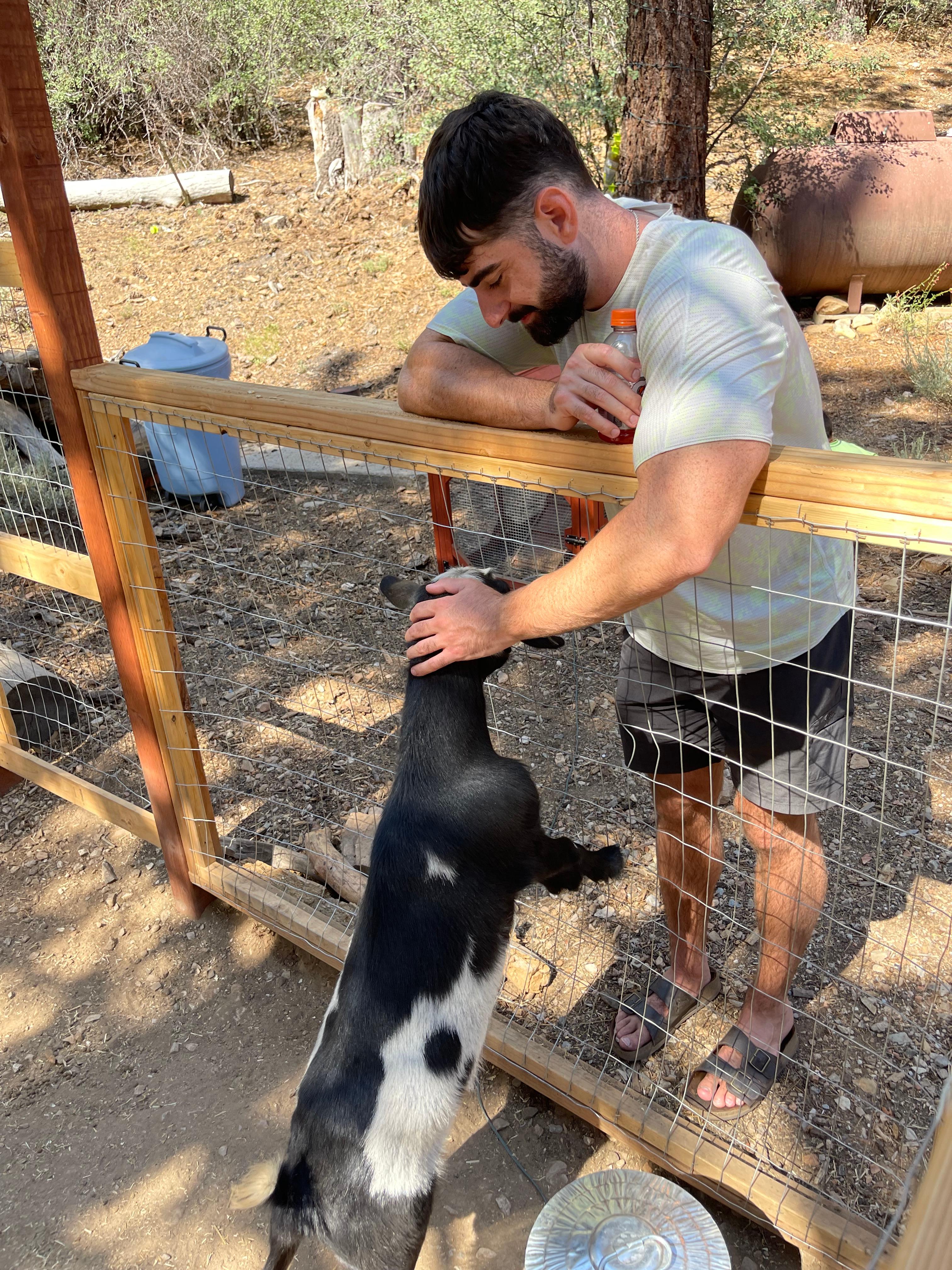 Poppy, one of Bear Hollow’s lovely goats!