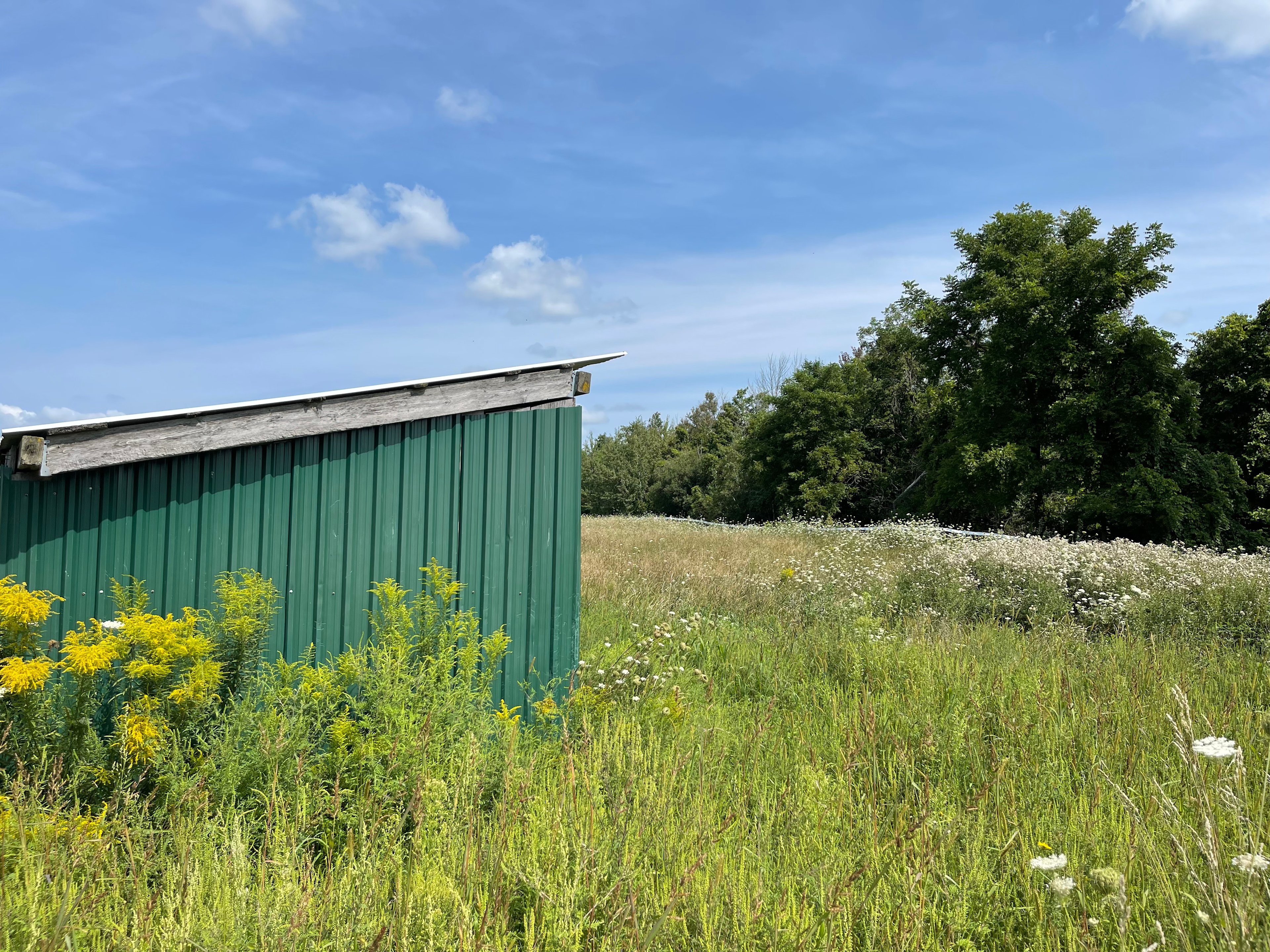 Private space with camping toilet. Looks out toward the 44 acres of forest, so you can do your business in peace. Very nearby is where you have your fresh clean drinking water spigot to drink and wash hands with.