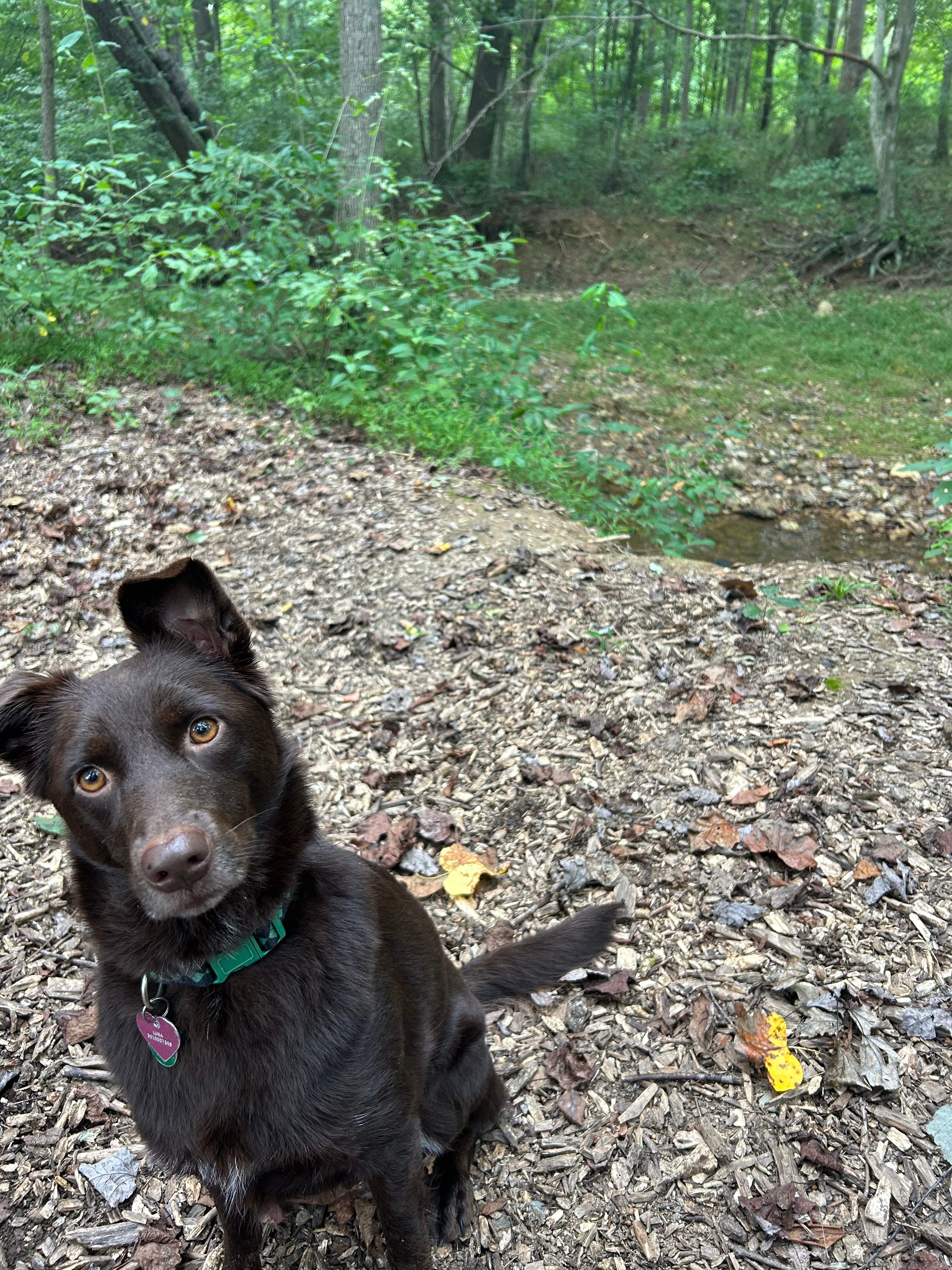 HUNTER'S PARK BY WASHINGTON, DC