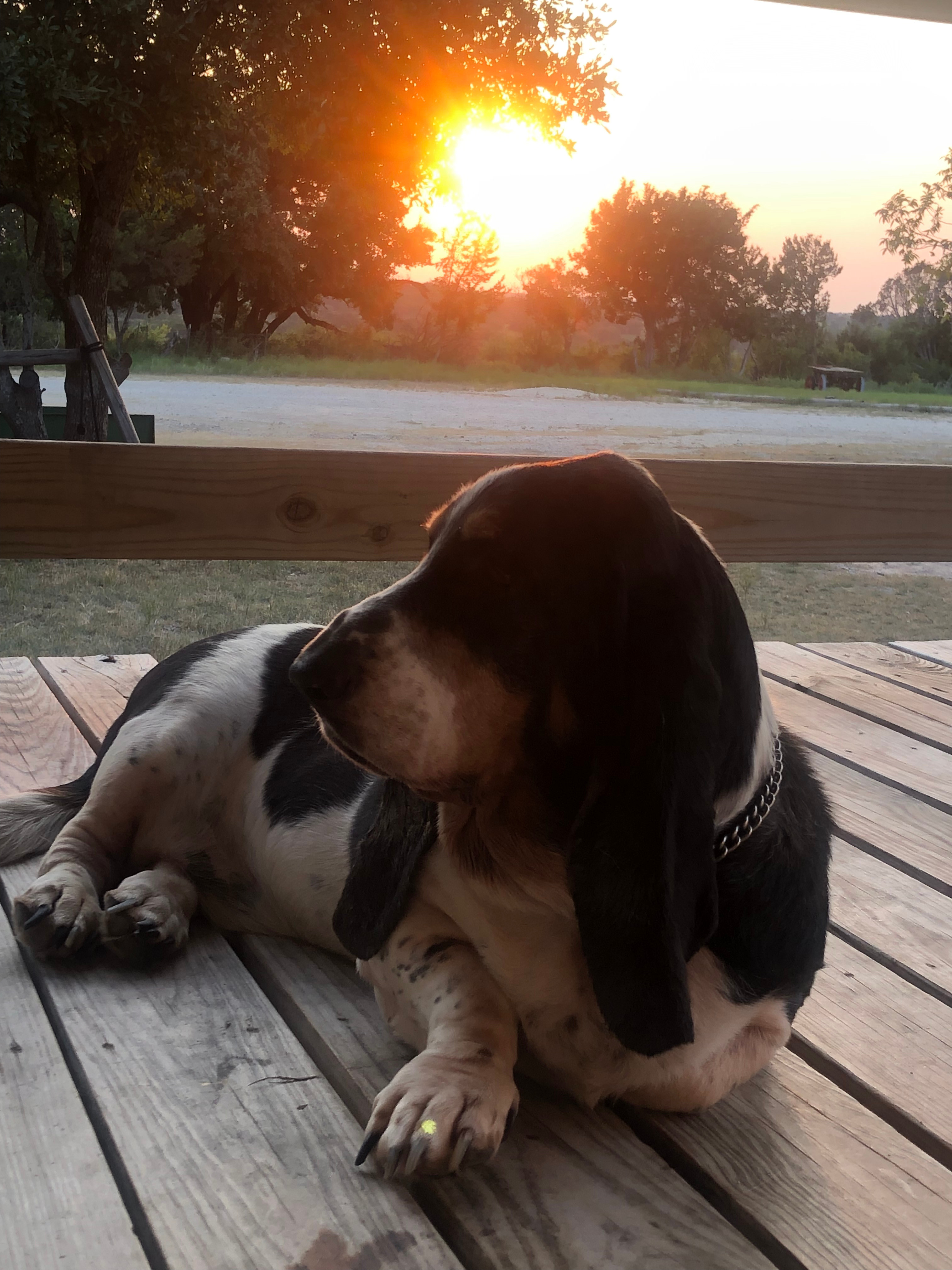 The Hideaway Ranch and Refuge