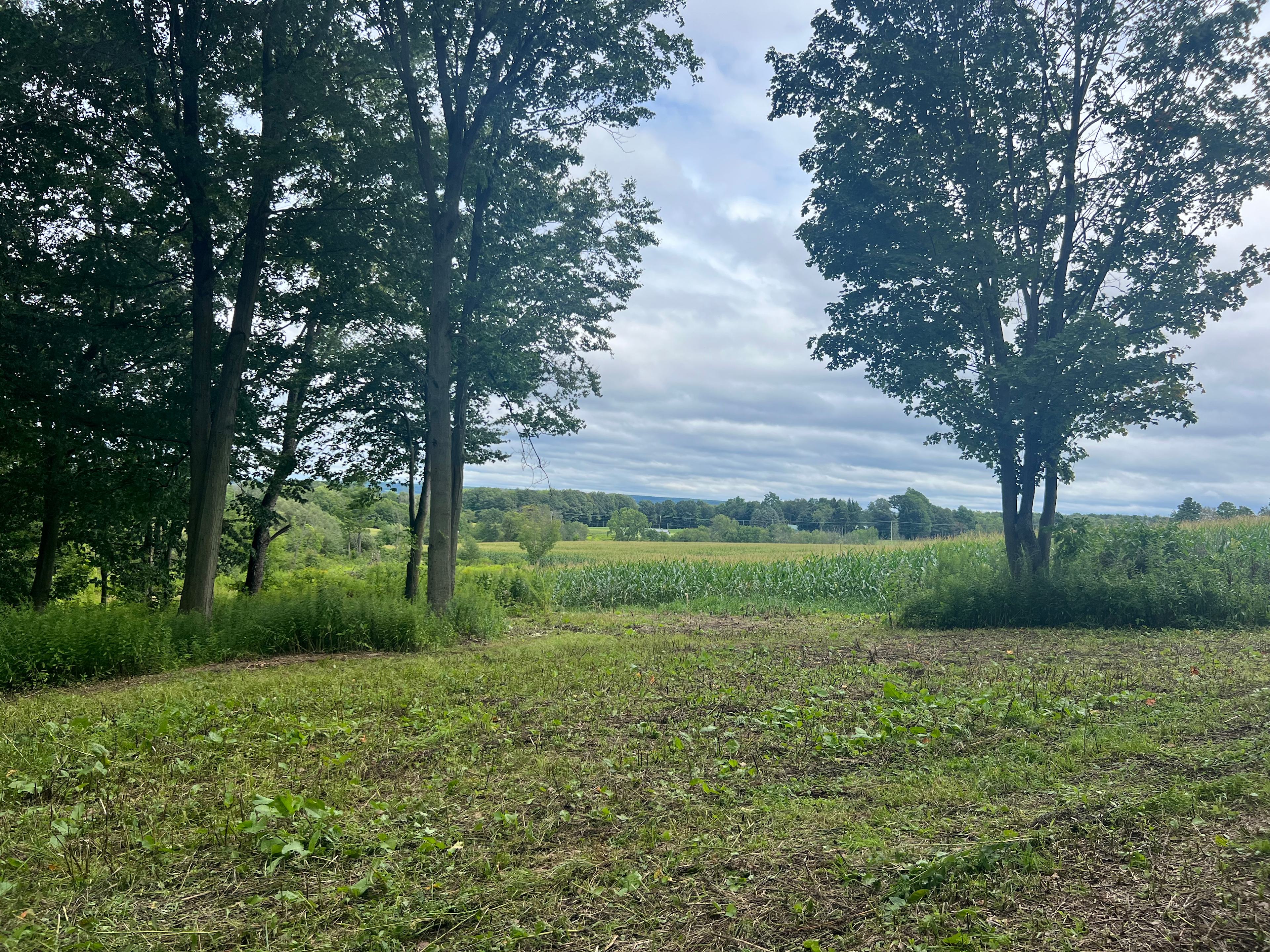 McCormick Farms Base Camp