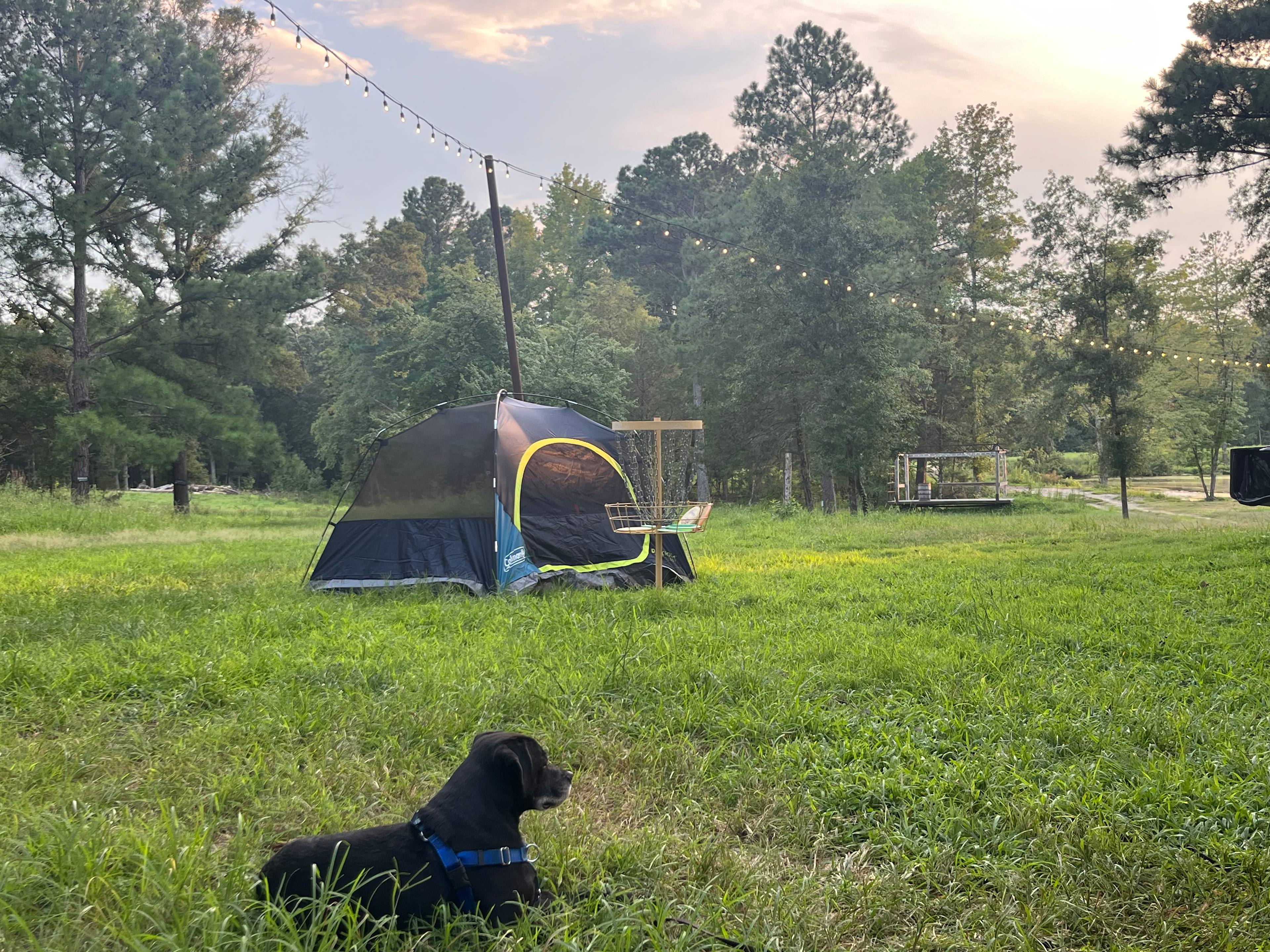 Farm Stay at Saxapahaw Country Club
