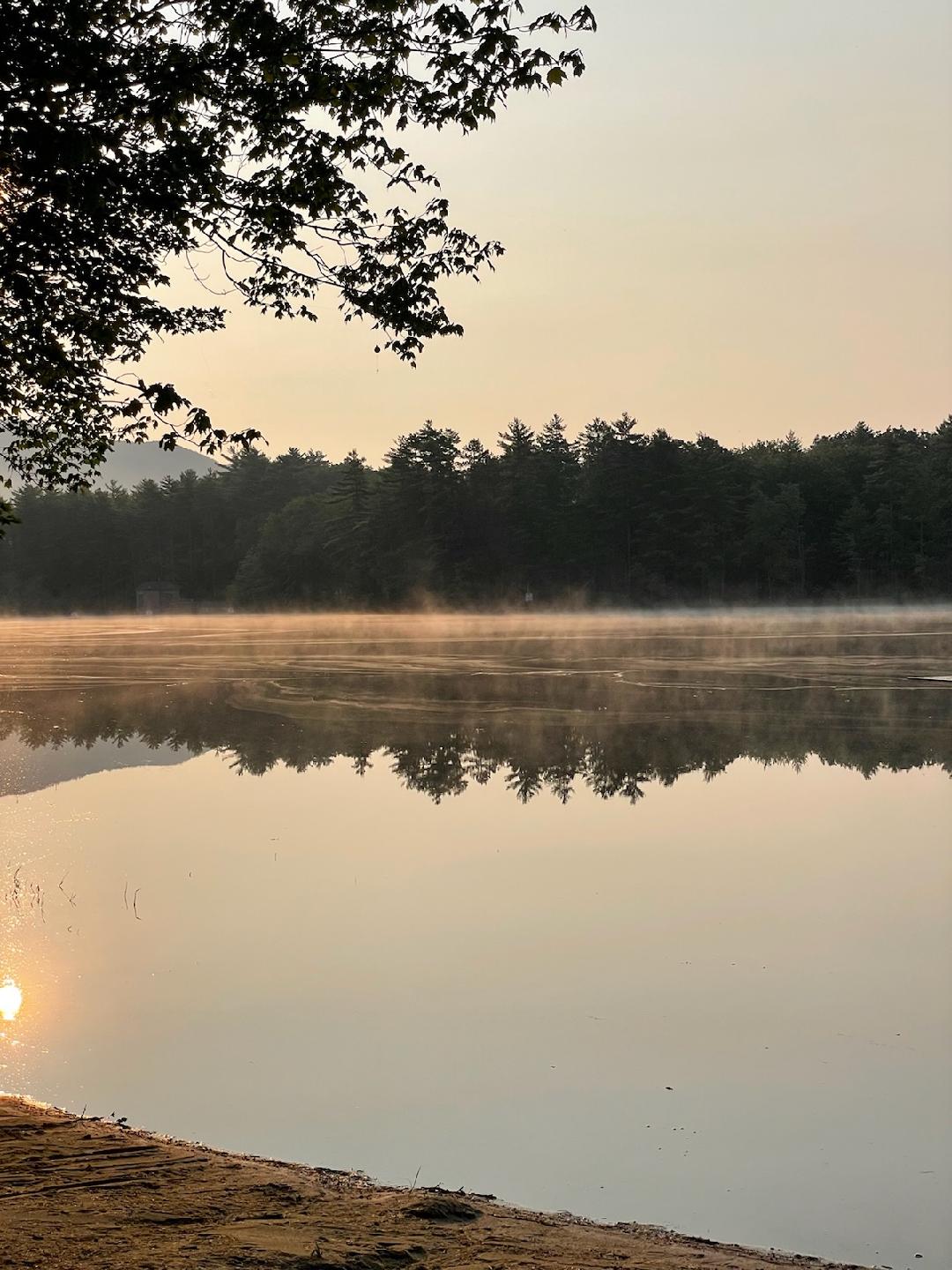 Tiny House, Horse Trailer, S Tent