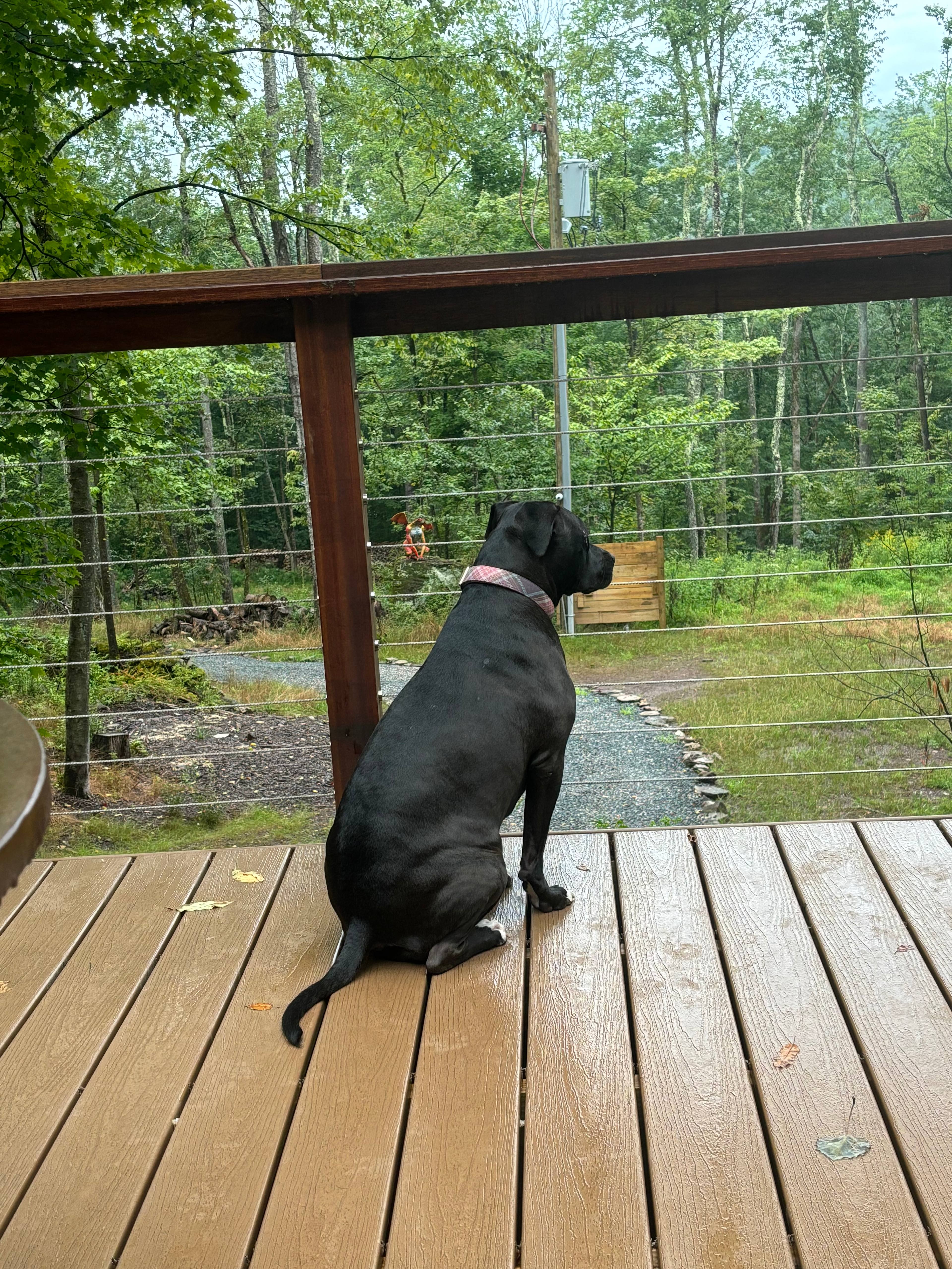 The Domes At Catskills