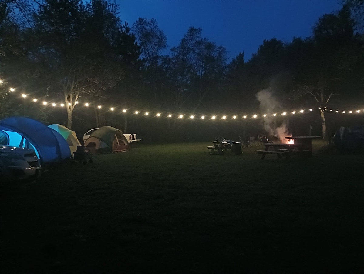 Secluded Campsites