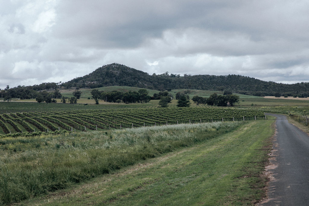 Vans in the Vines @ Lazy Oak Wines