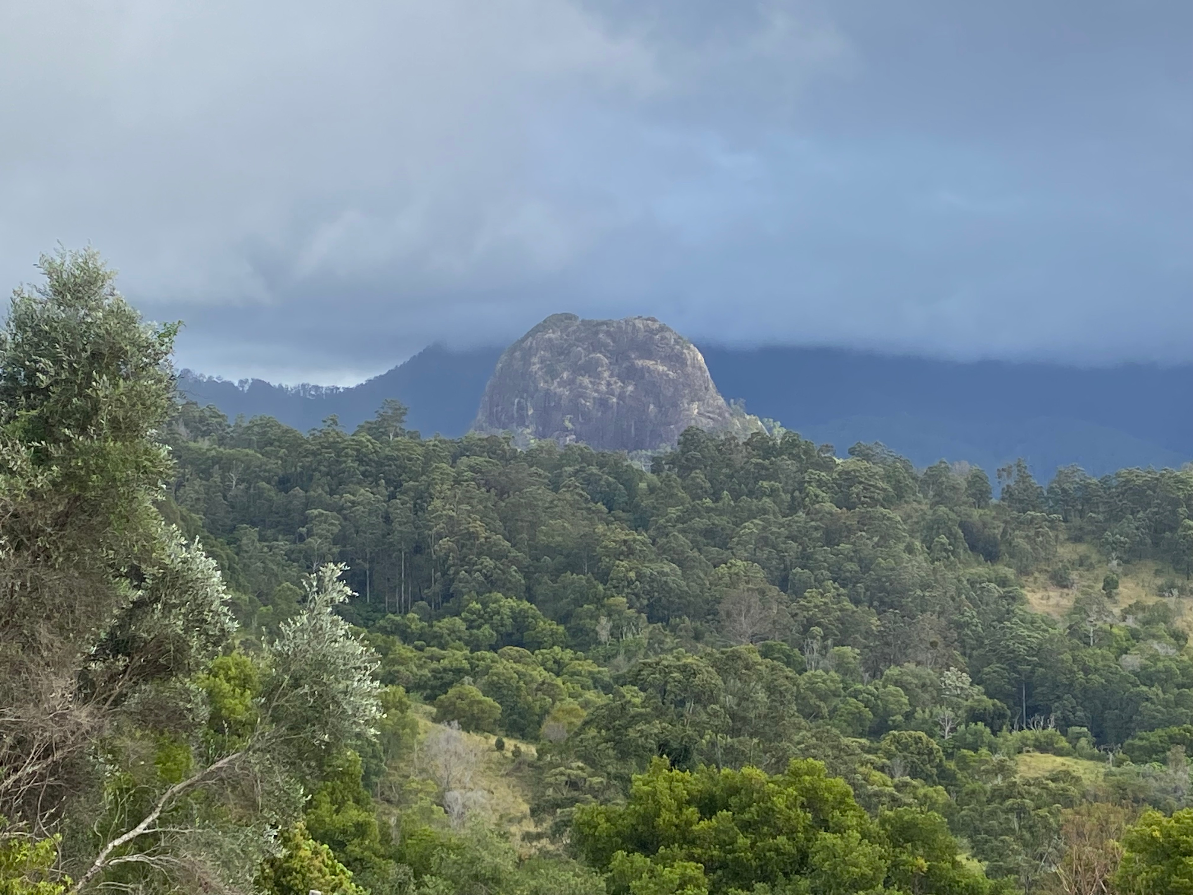 Tranquil Rainforest Retreat