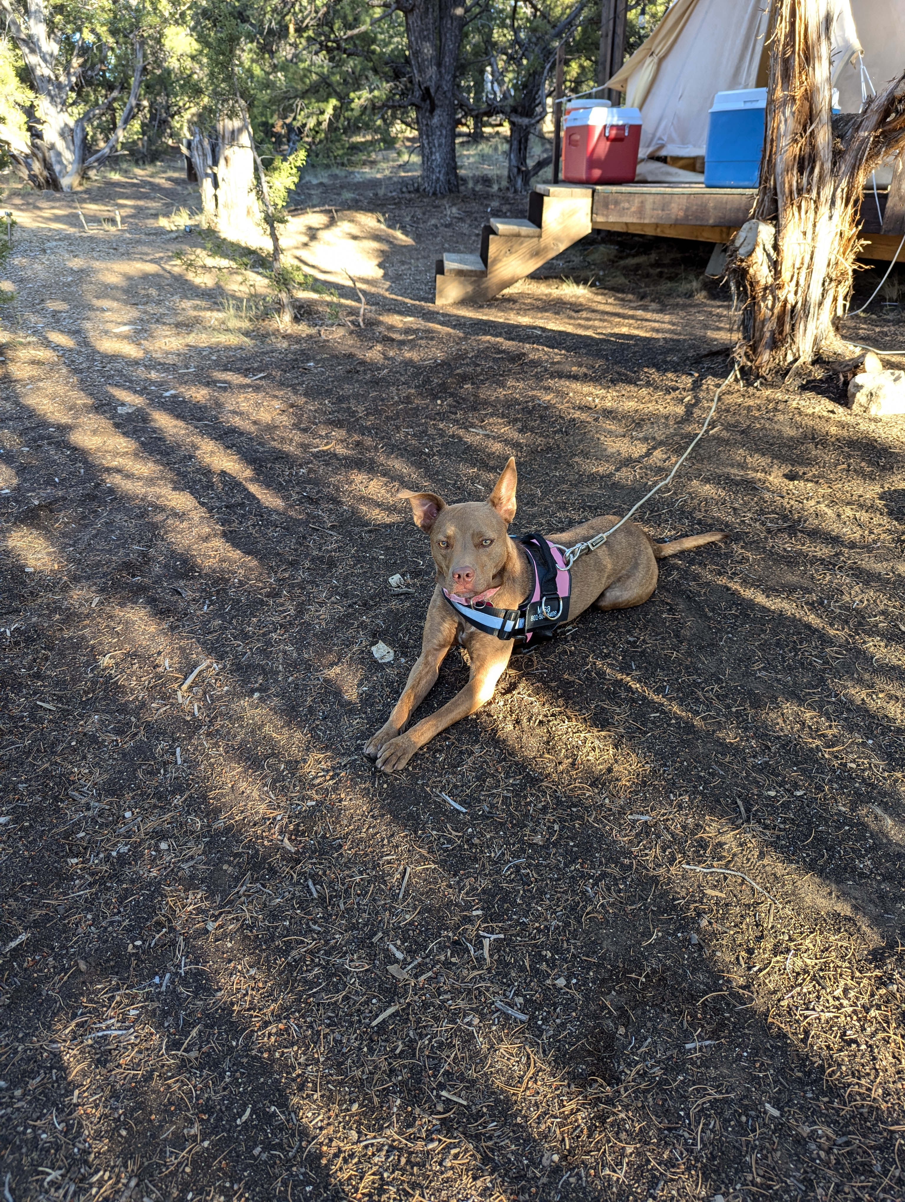 Hope Acres Glampground