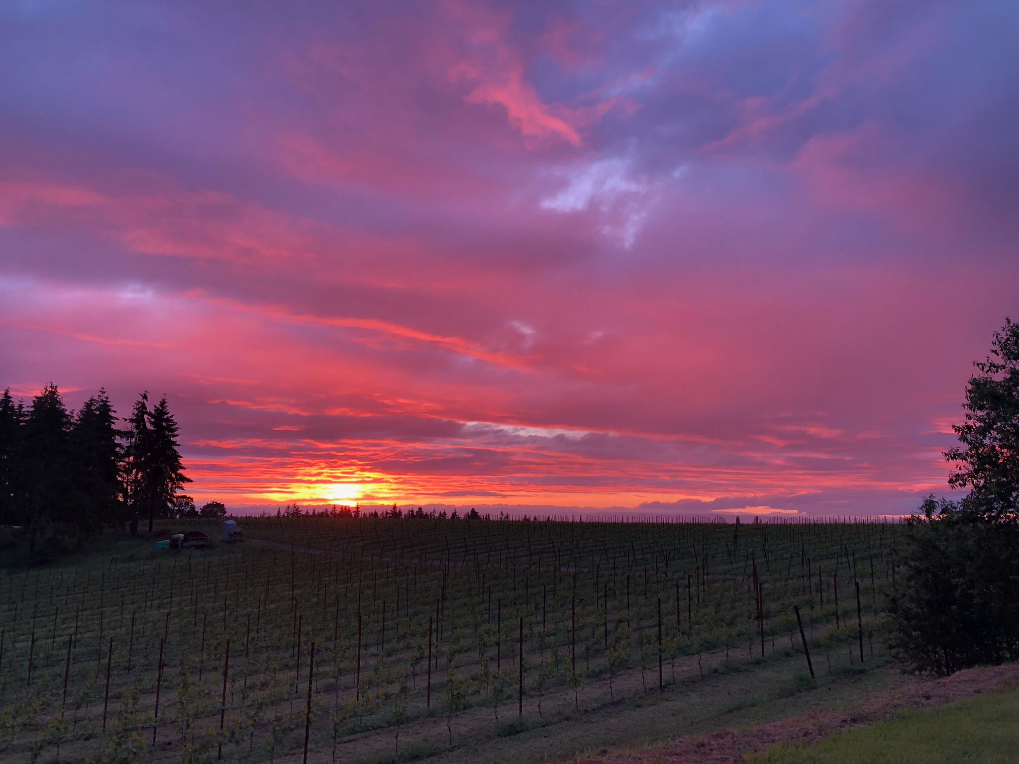 Wine Country / Silver Falls Retreat