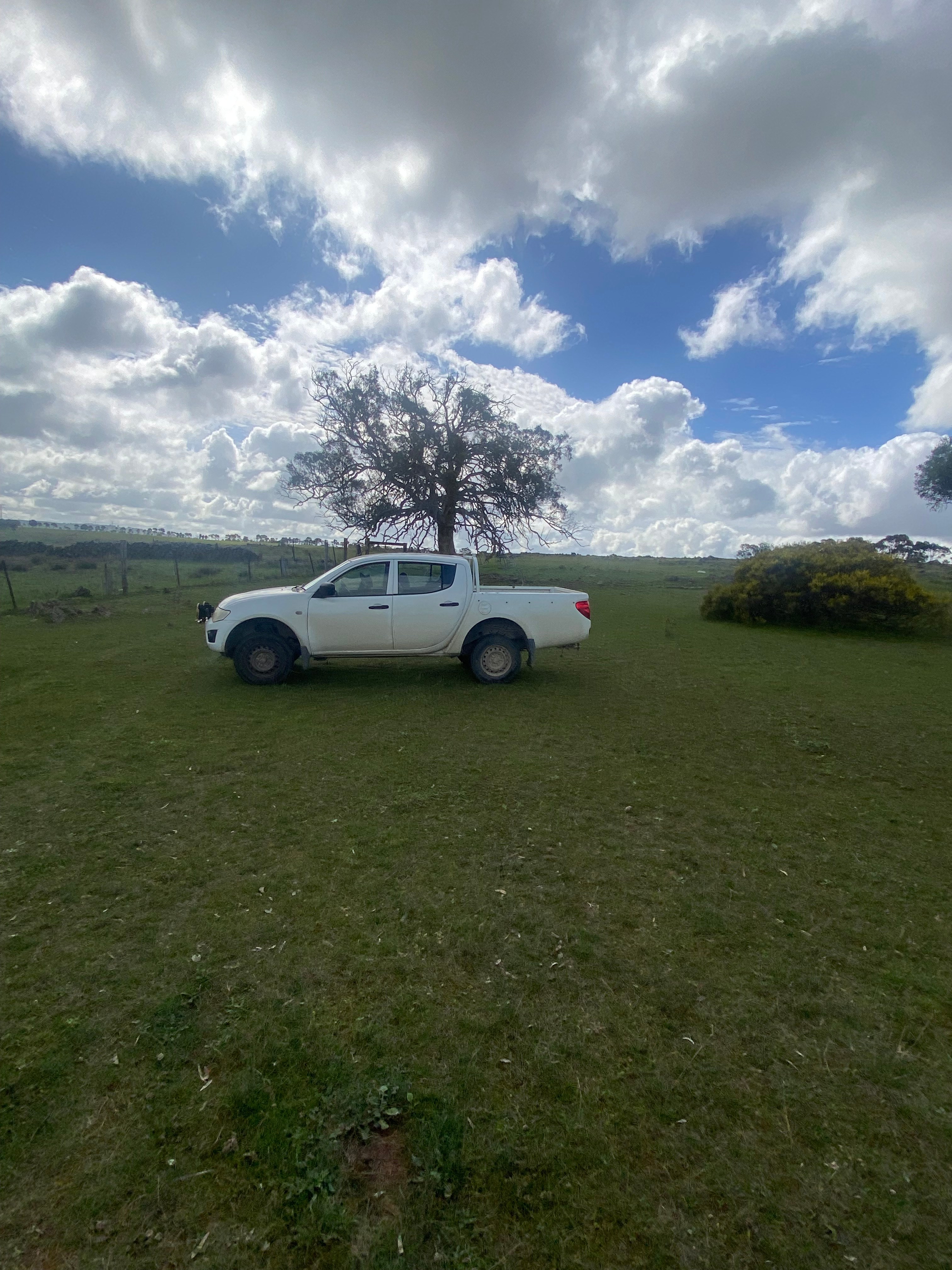 The Plateau Adventures