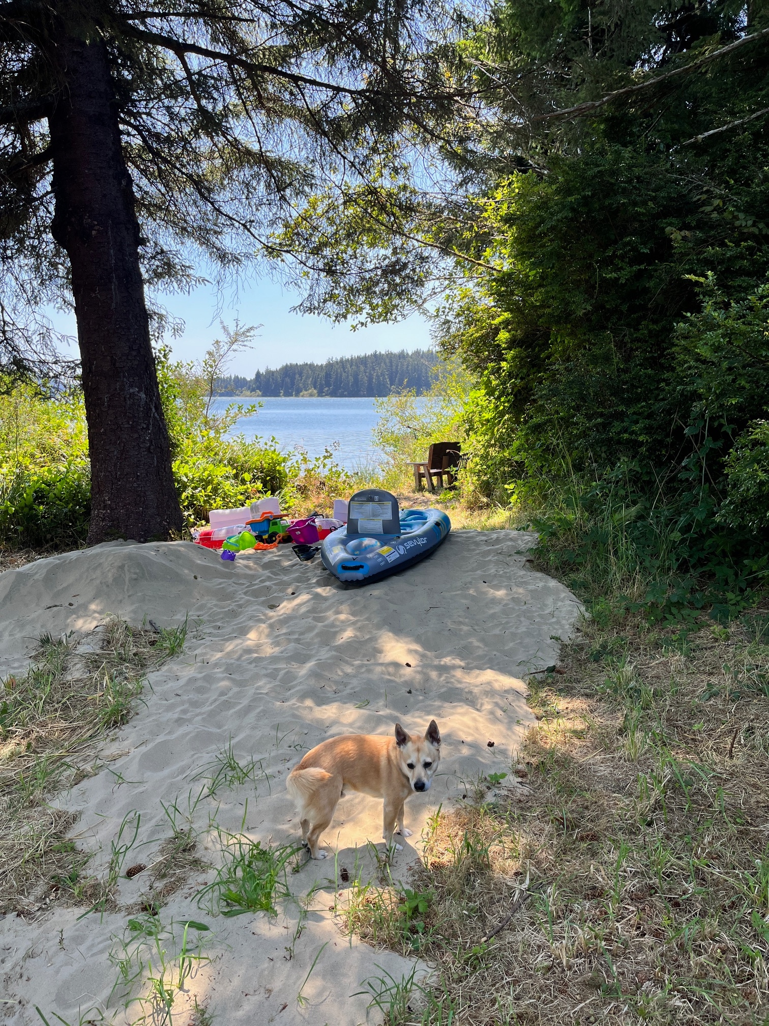 Siltcoos Cove - salmon are in!