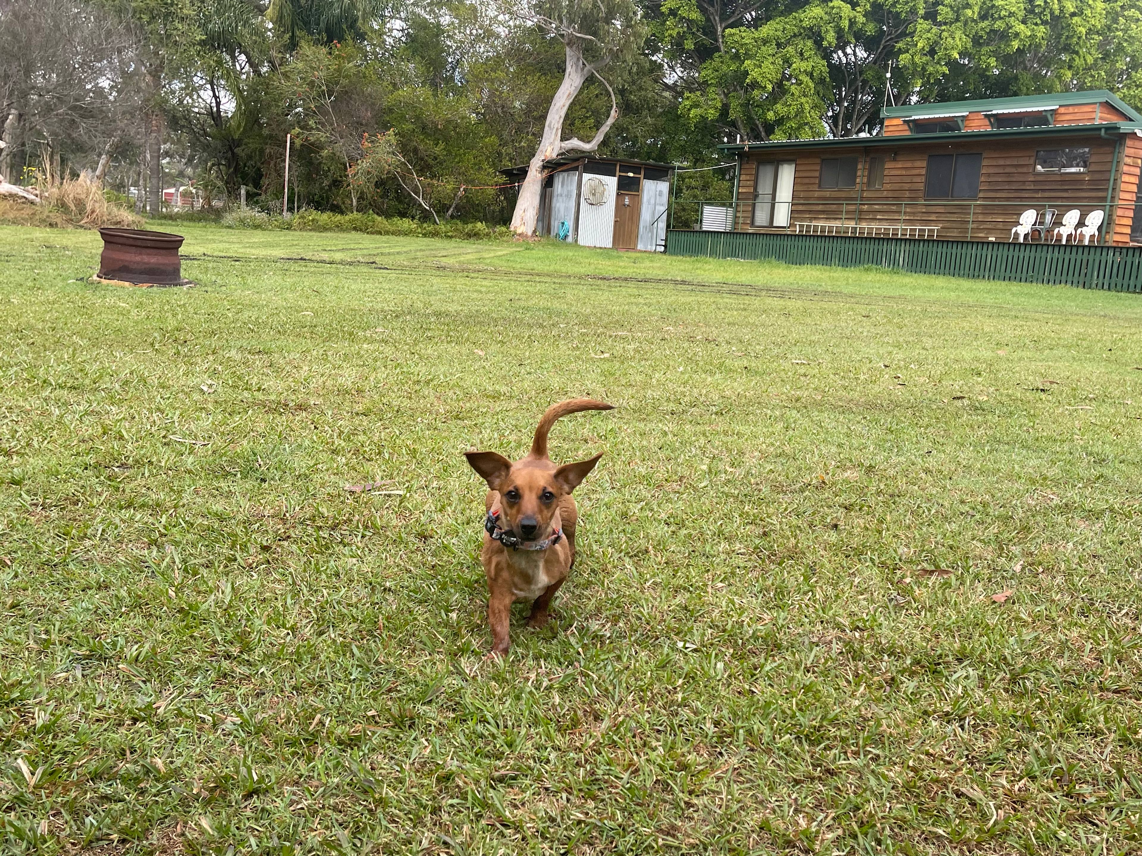 Cooloola Cove Hideaway