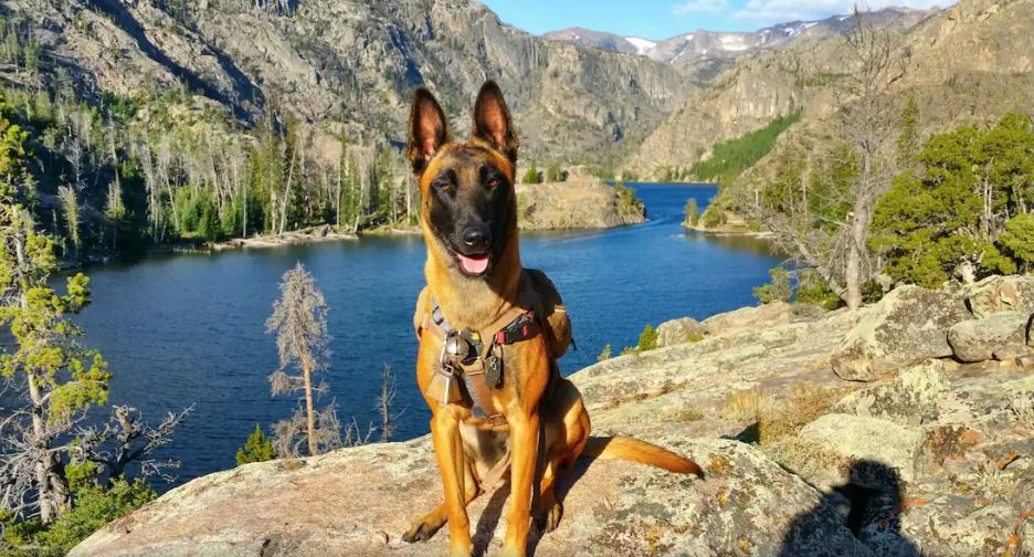 Chinook Winds Cabins