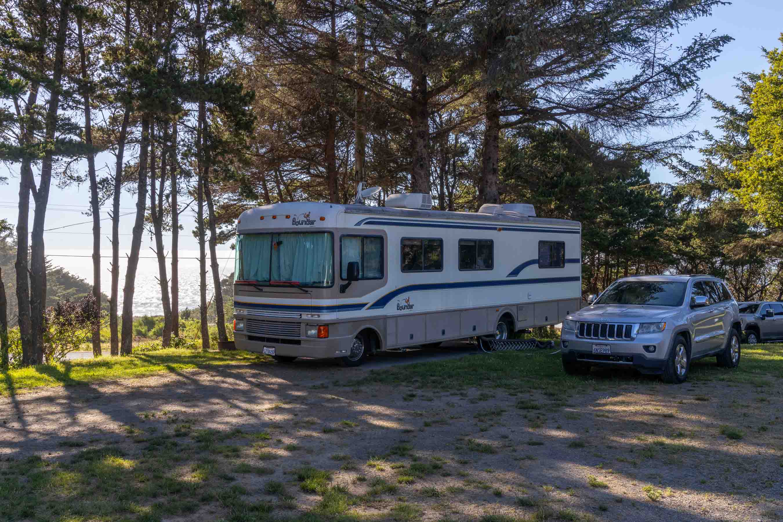 Honey Bear by the Sea